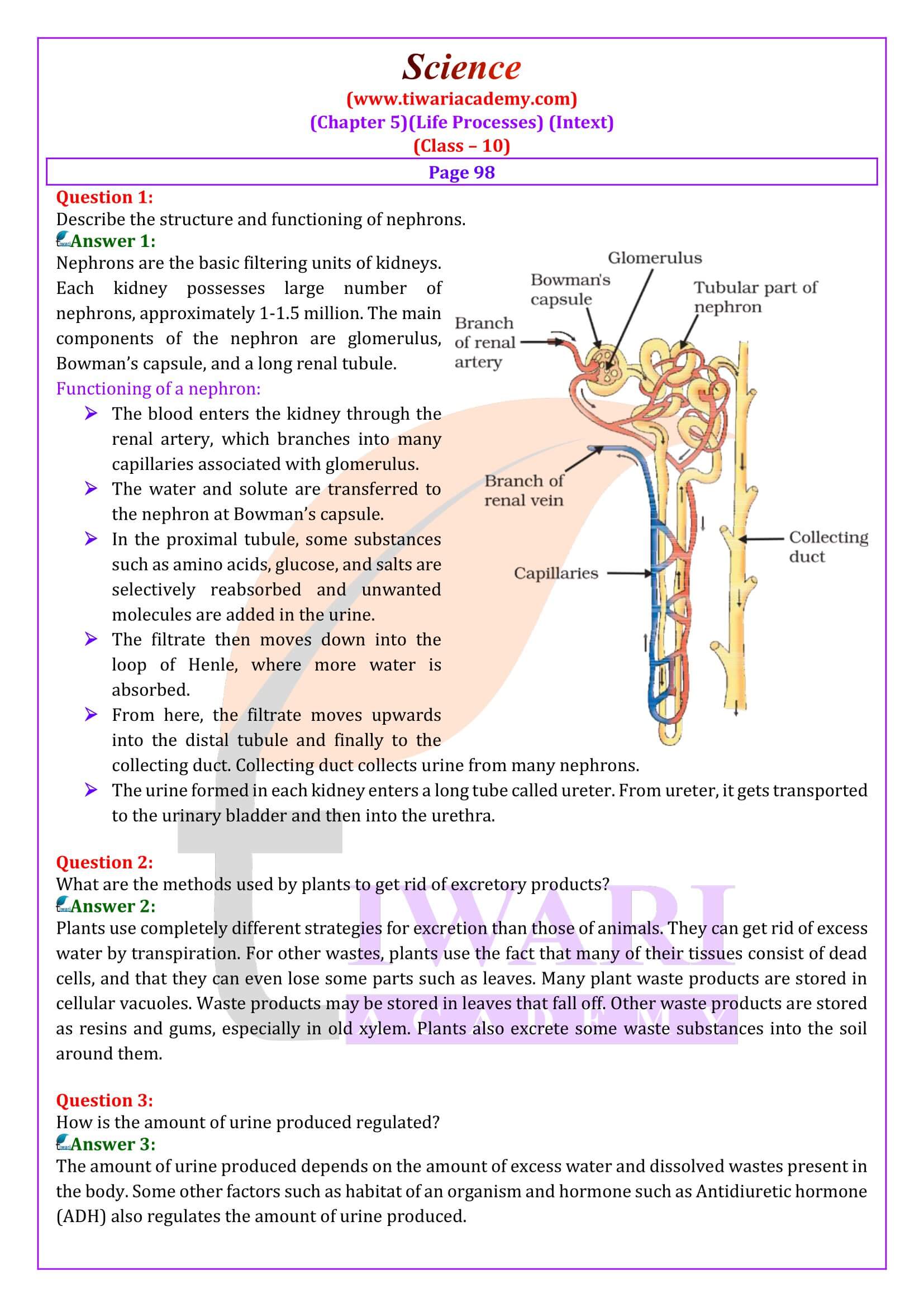 NCERT Solutions for Class 10 Science Chapter 5 answers