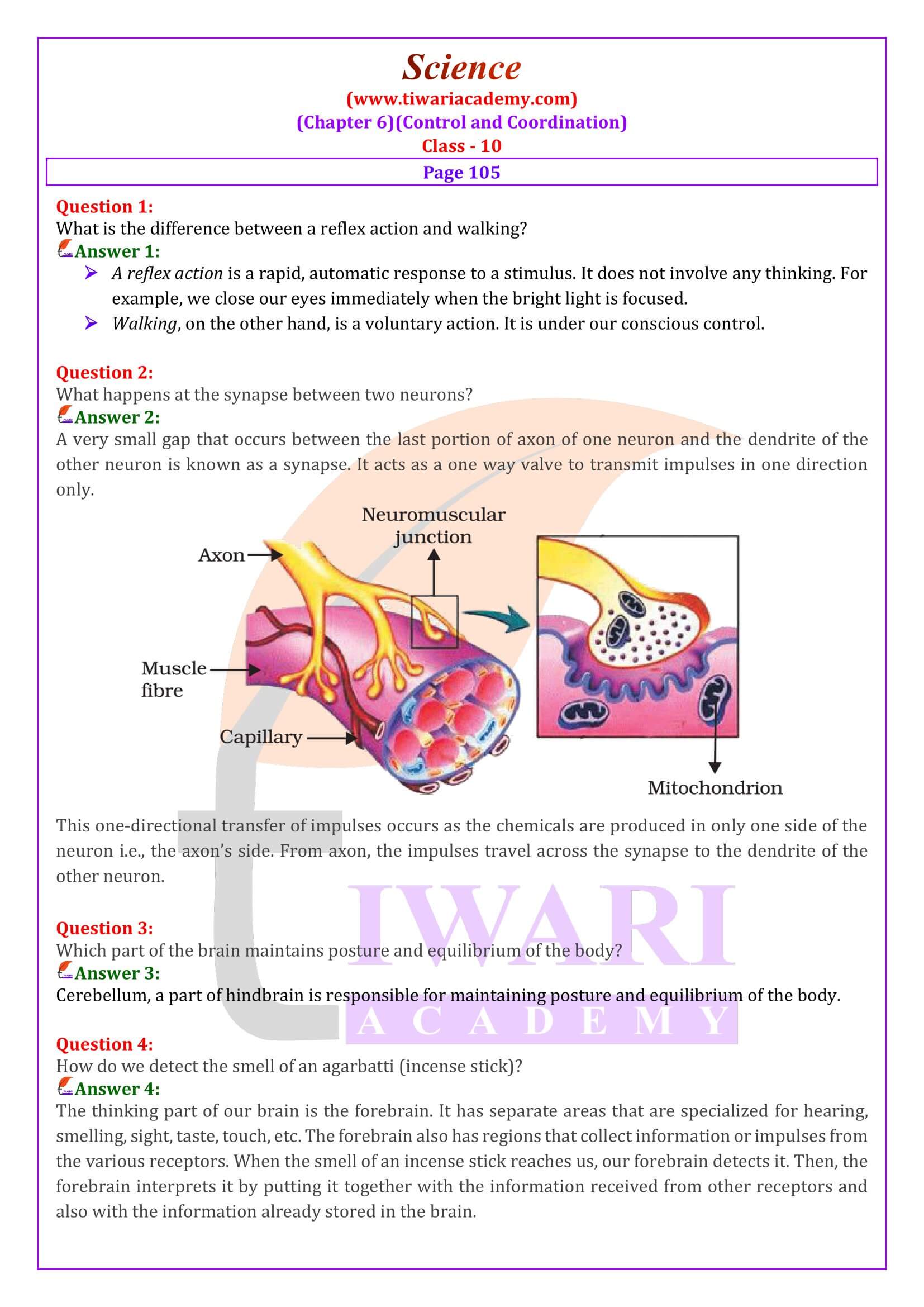 NCERT Solutions for Class 10 Science Chapter 6 Intext Questions