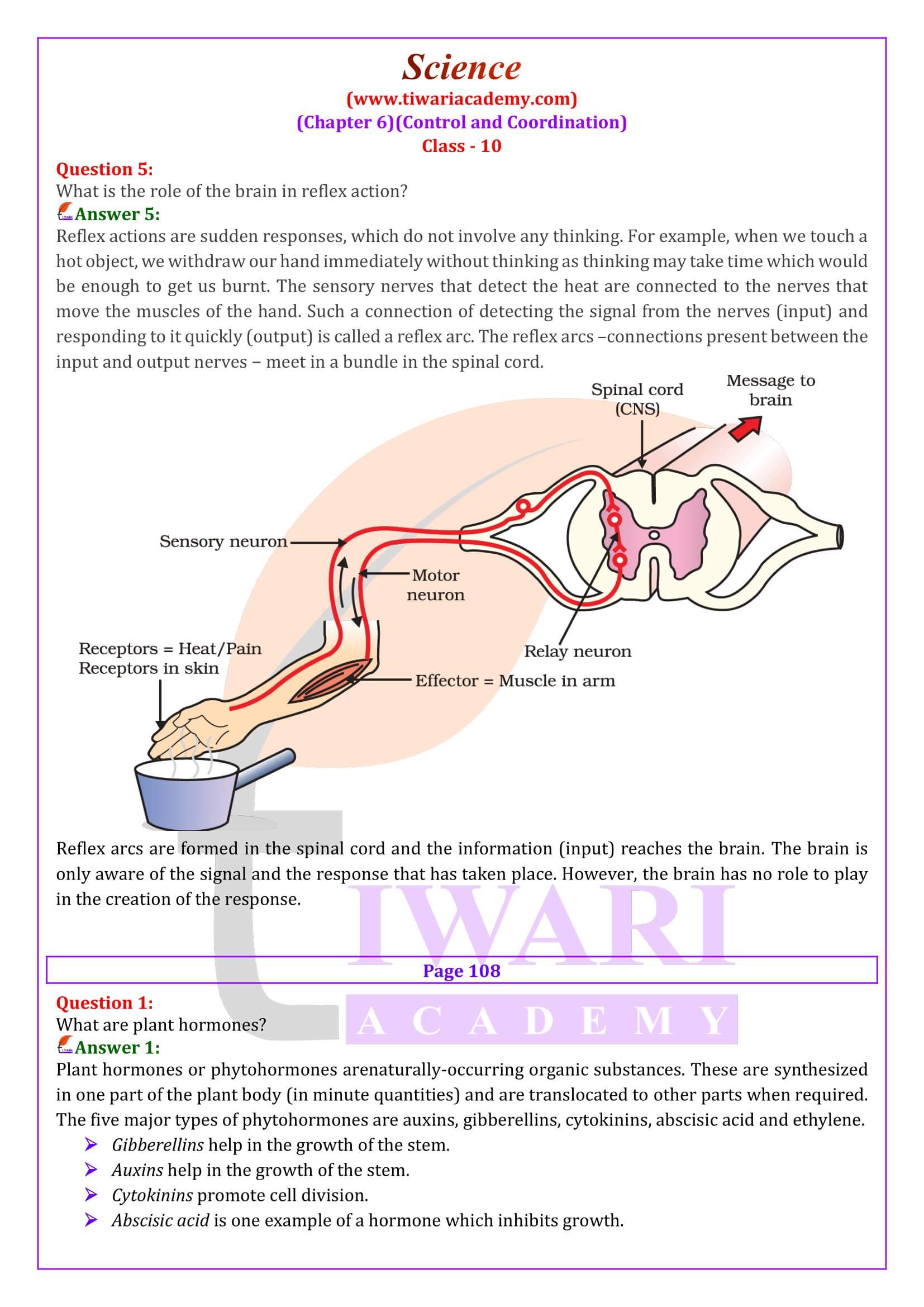 NCERT Solutions for Class 10 Science Chapter 6 Quesion Answers