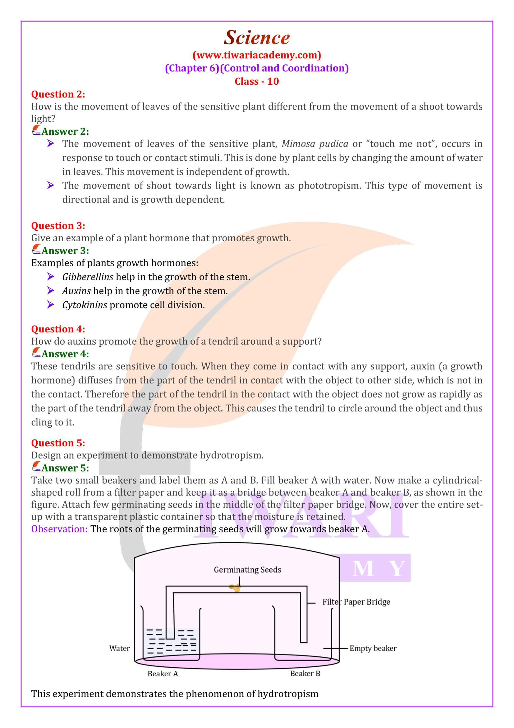 NCERT Solutions for Class 10 Science Chapter 6 in English Medium