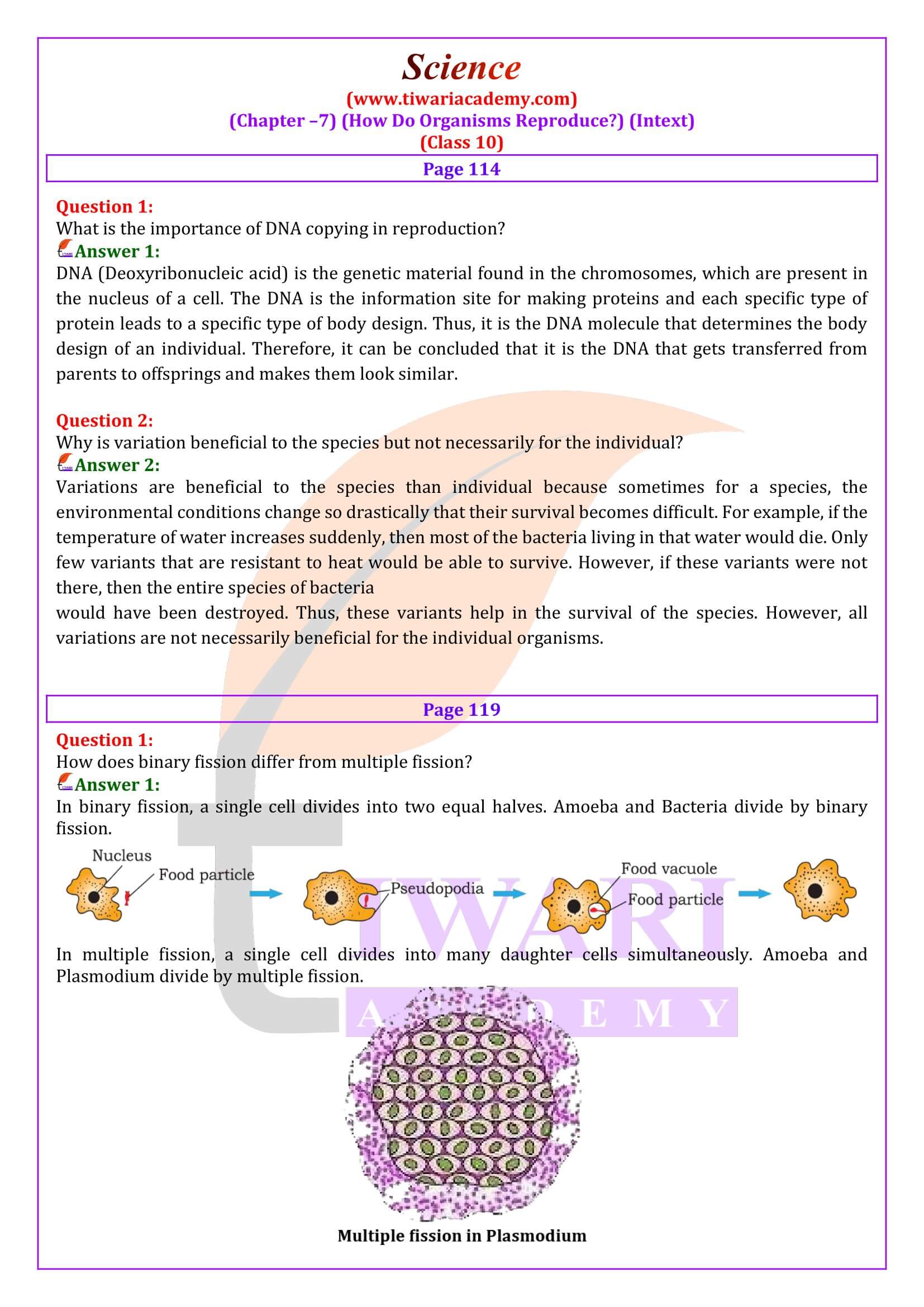 NCERT Solutions for Class 10 Science Chapter 7 Intext Quesitons