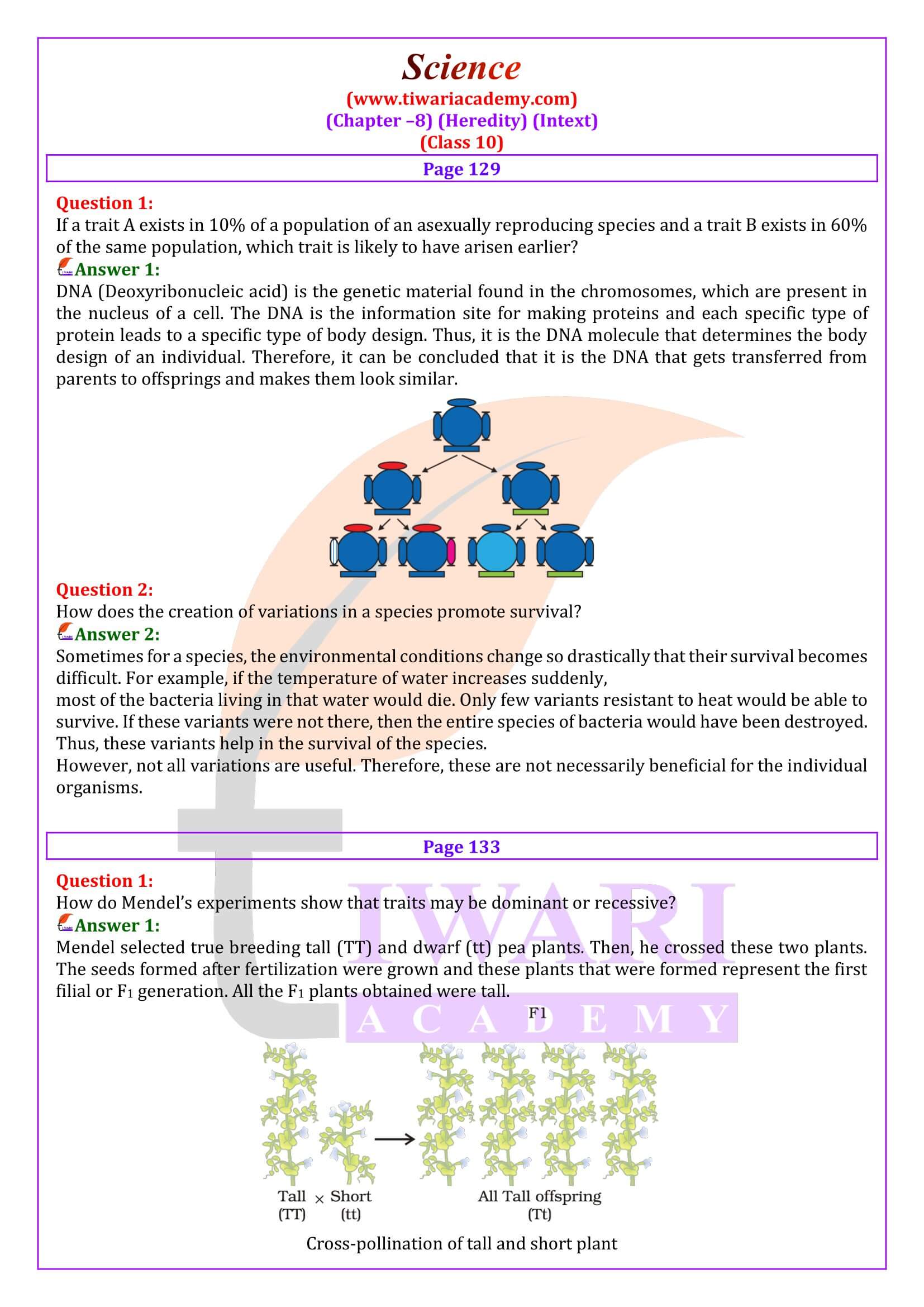 NCERT Solutions for Class 10 Science Chapter 8 Intext Questions