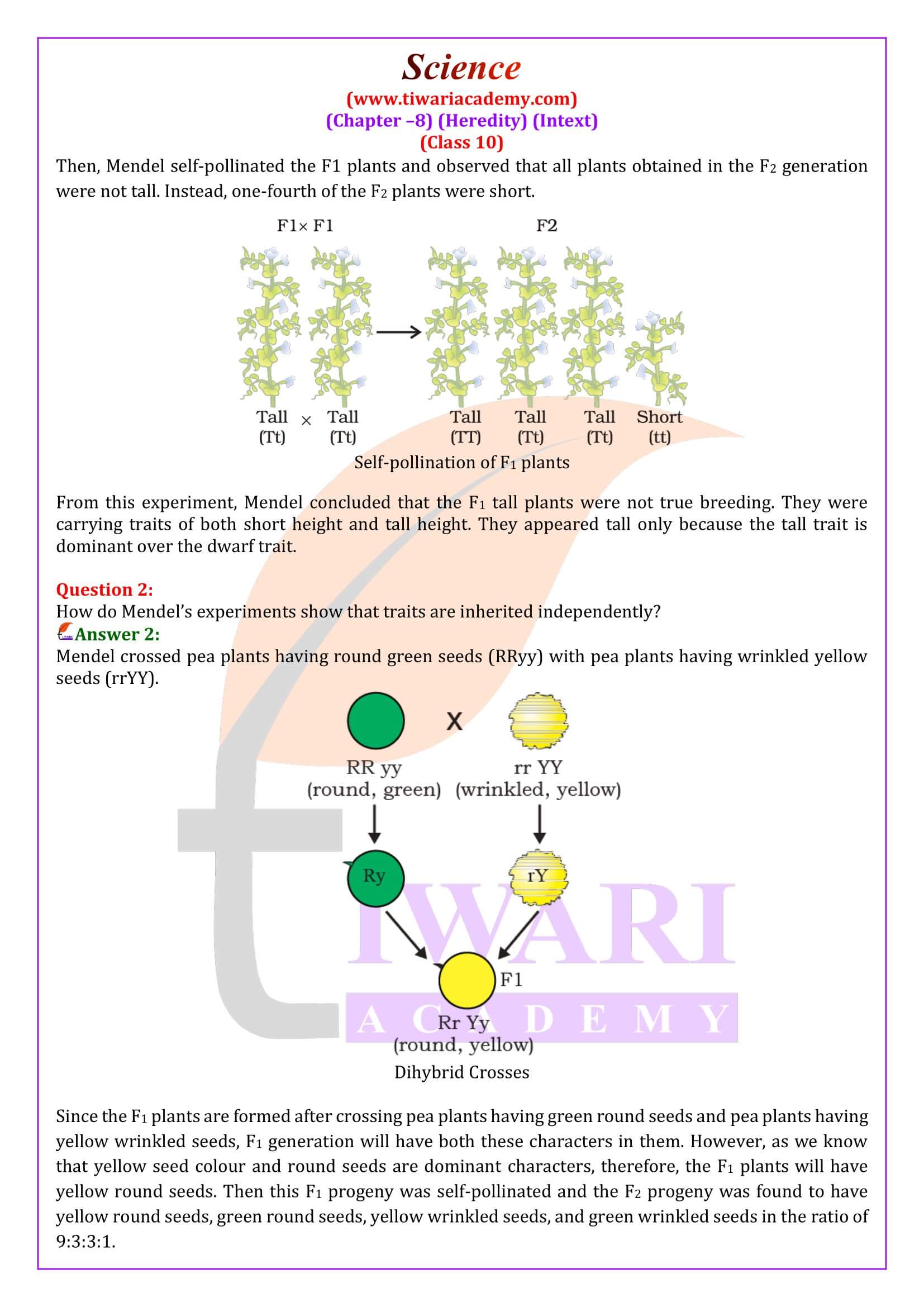 NCERT Solutions for Class 10 Science Chapter 8 in English Medium