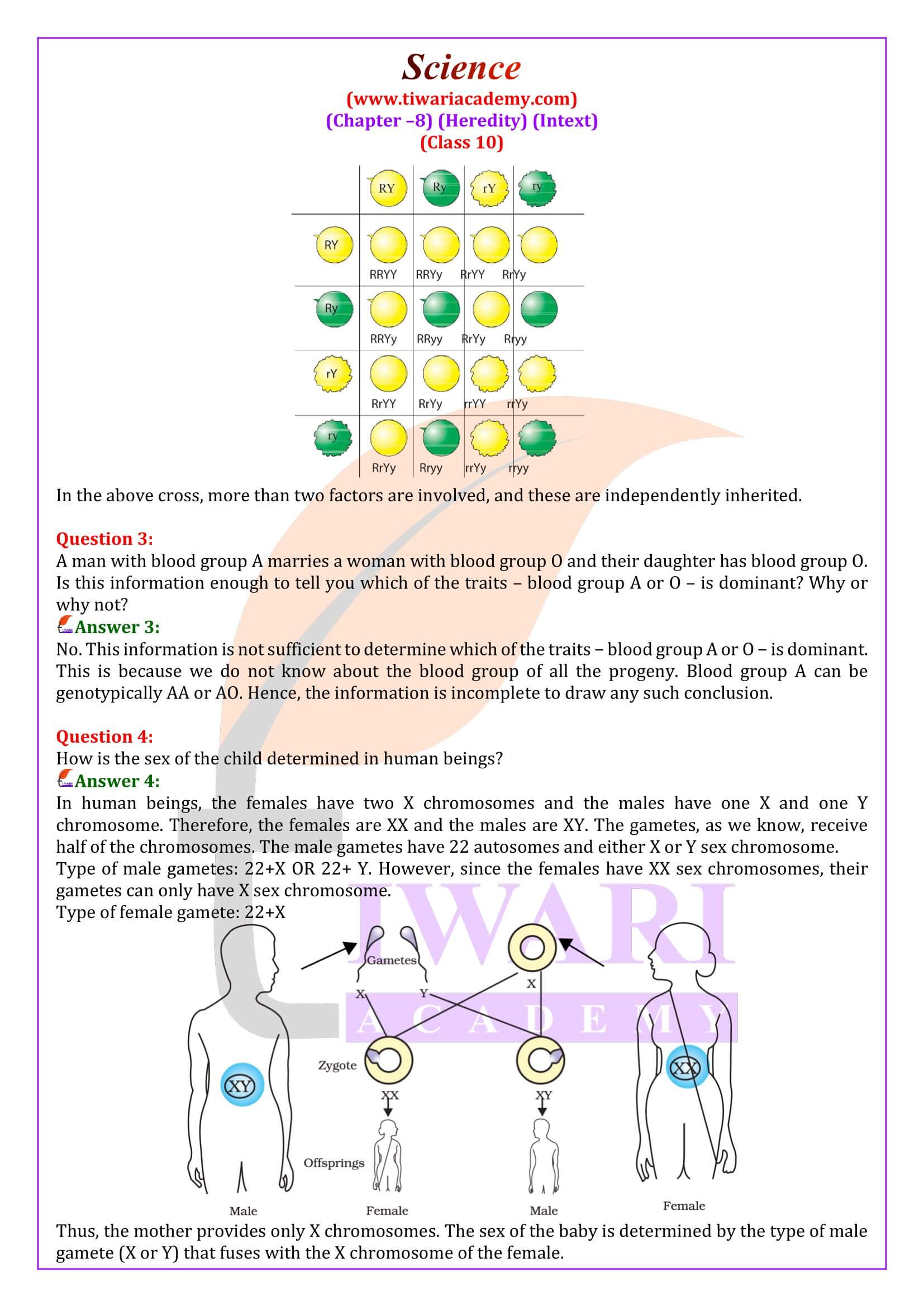 NCERT Solutions for Class 10 Science Chapter 8 Question Answers