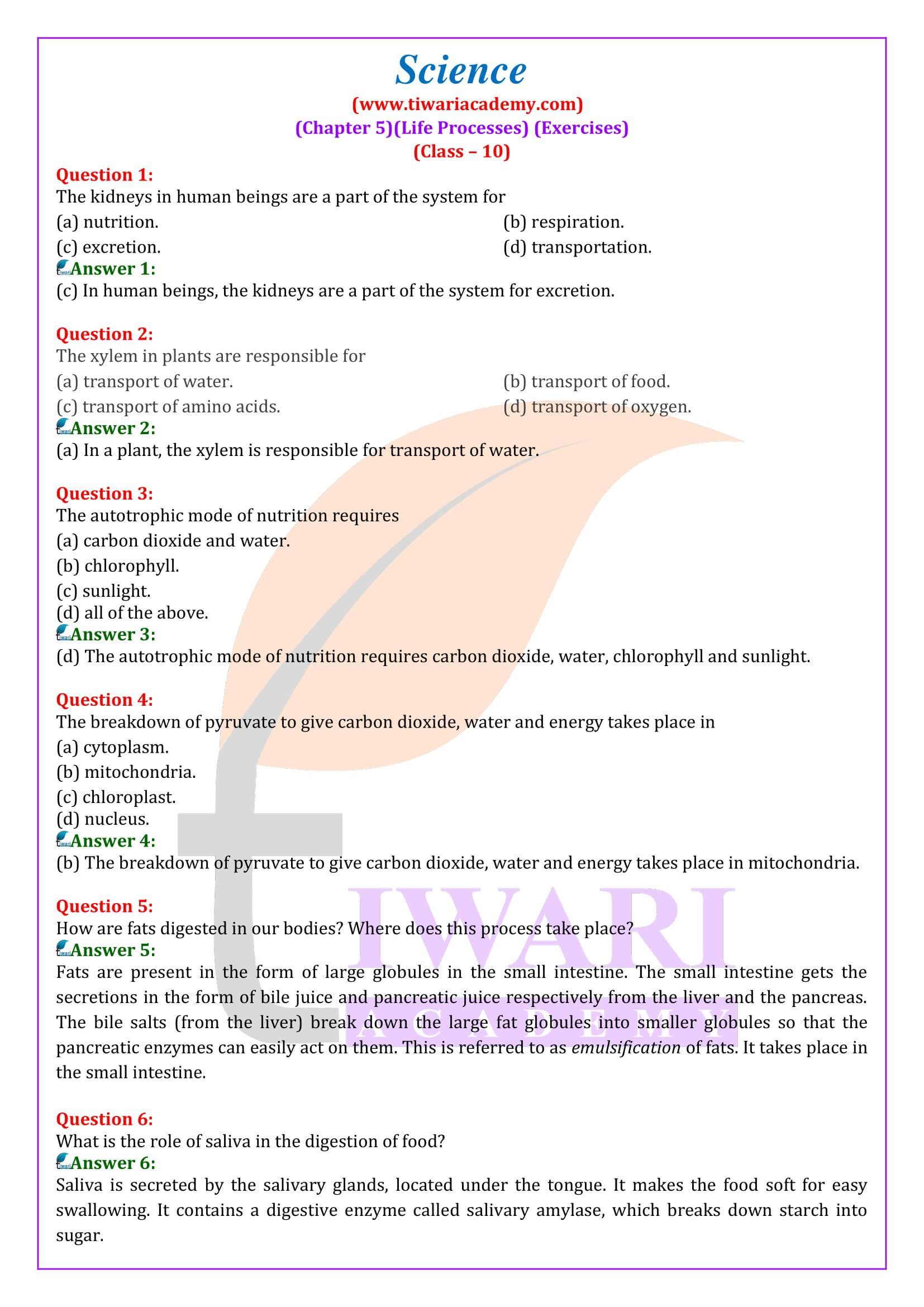 Class 10 Science Chapter 5 Life Processes