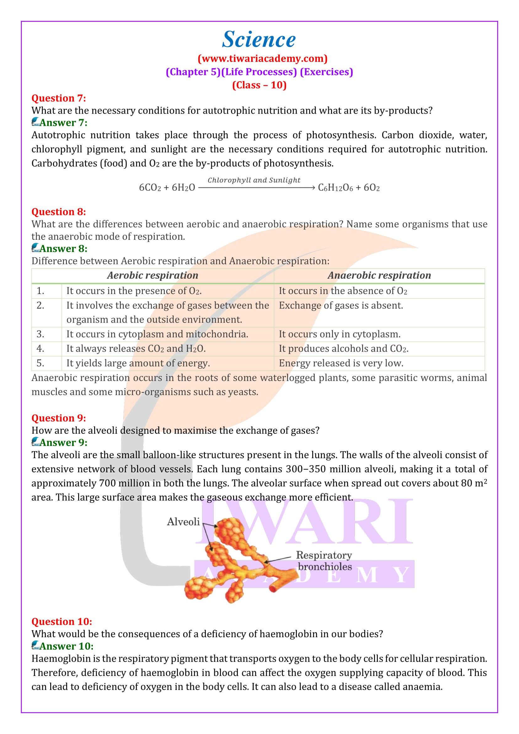 NCERT Solutions for Class 10 Science Chapter 5