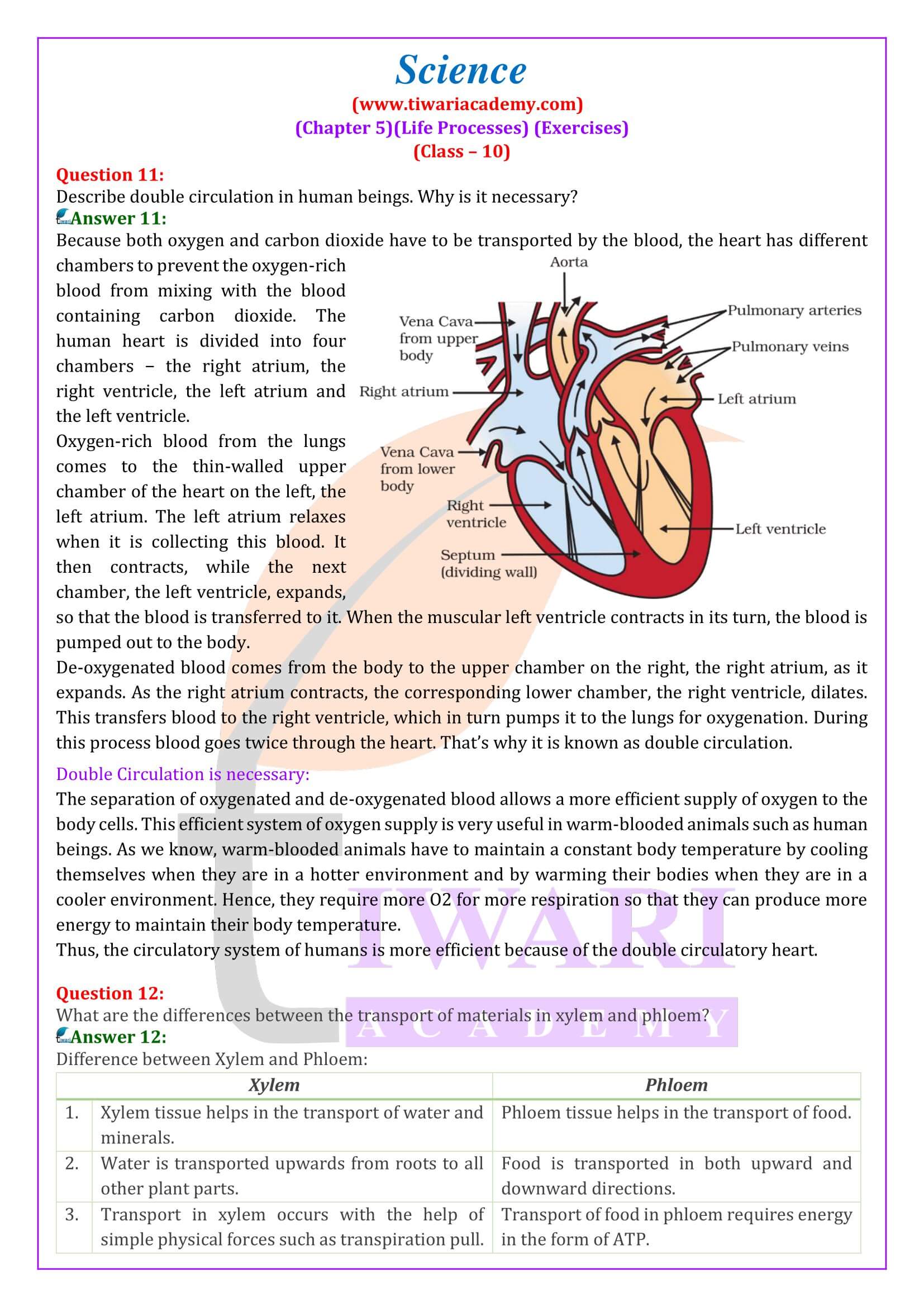 NCERT Solutions for Class 10 Science Chapter 5 Exercises