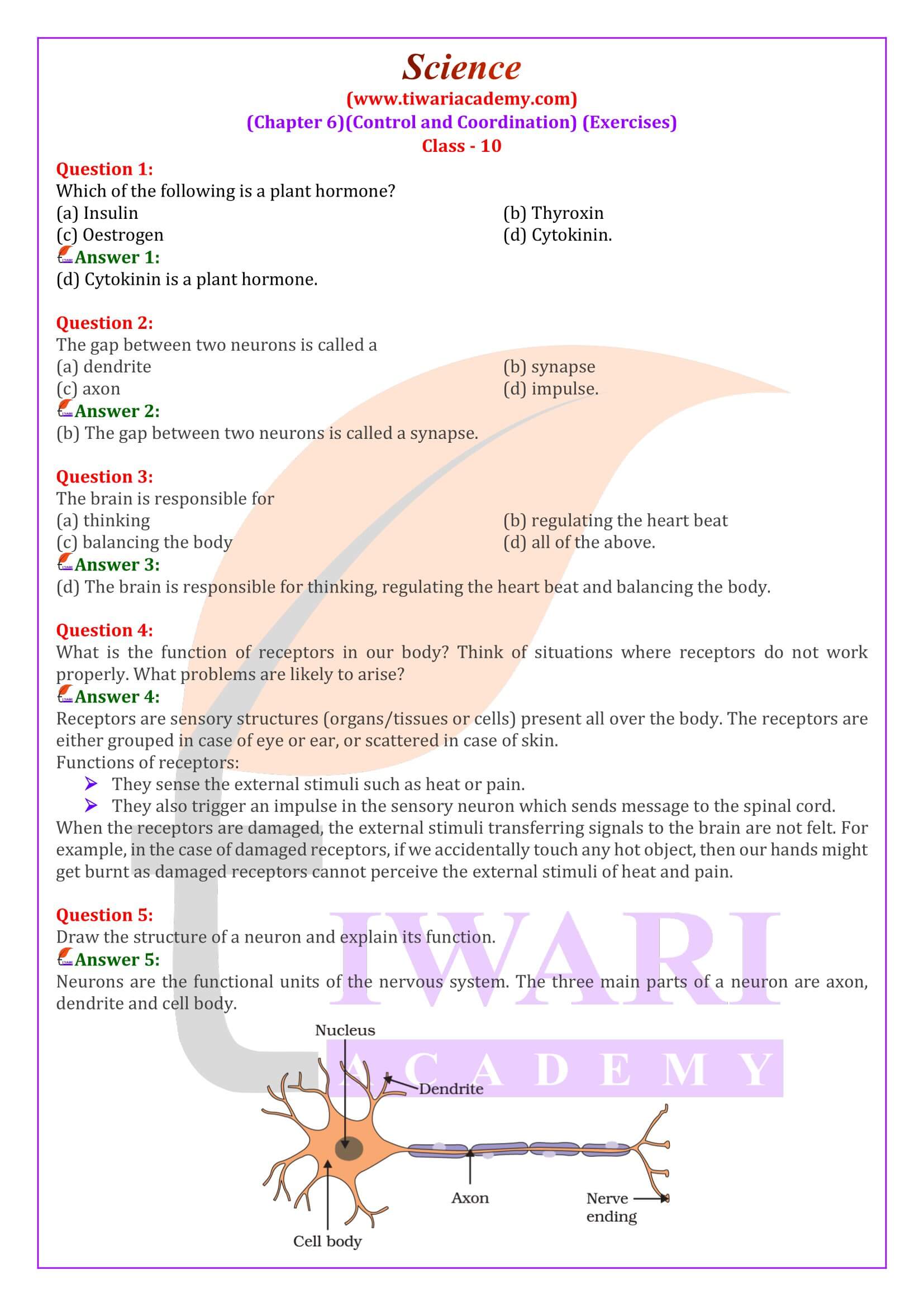 Class 10 Science Chapter 6 Control and Coordination