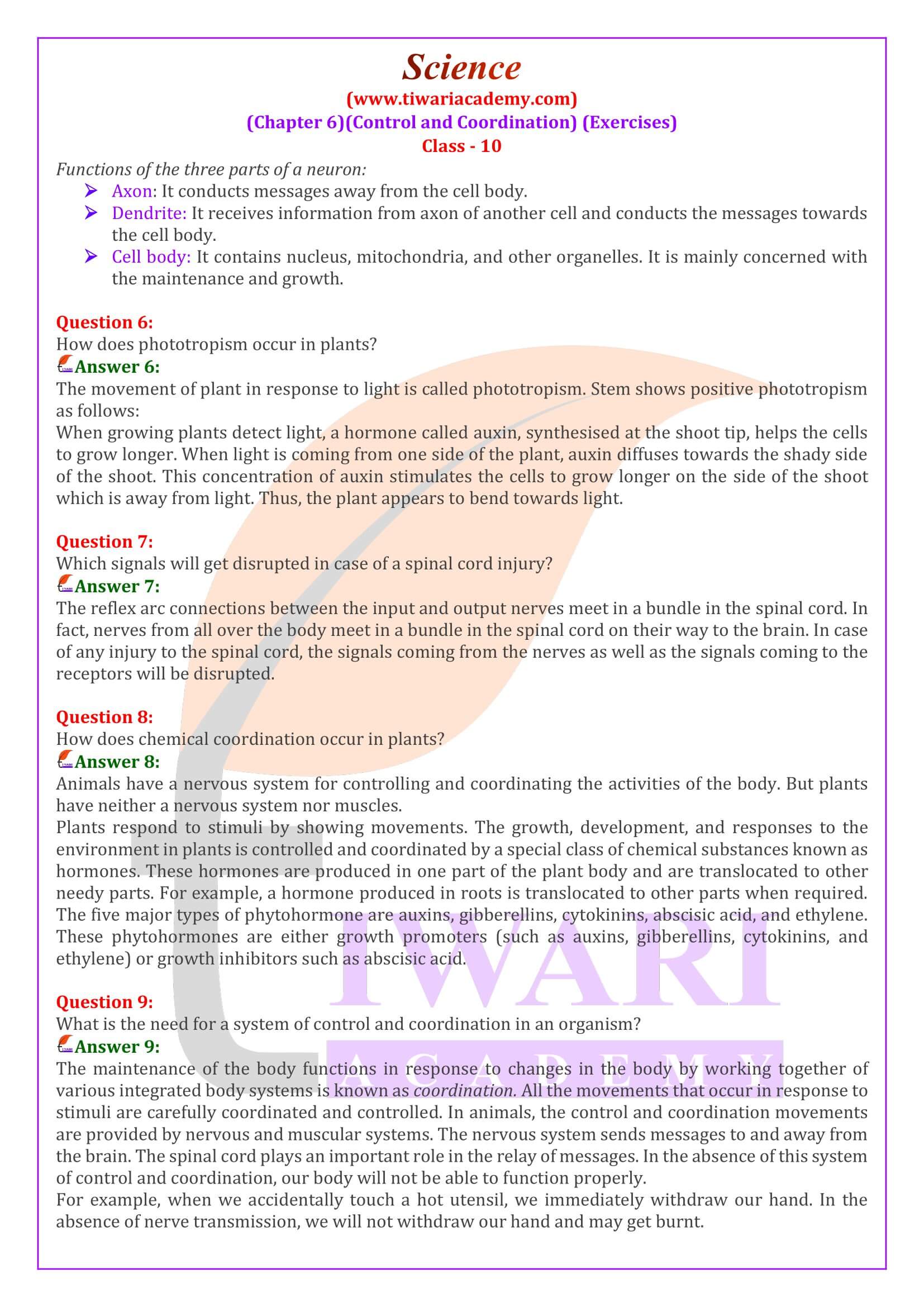 NCERT Solutions for Class 10 Science Chapter 6
