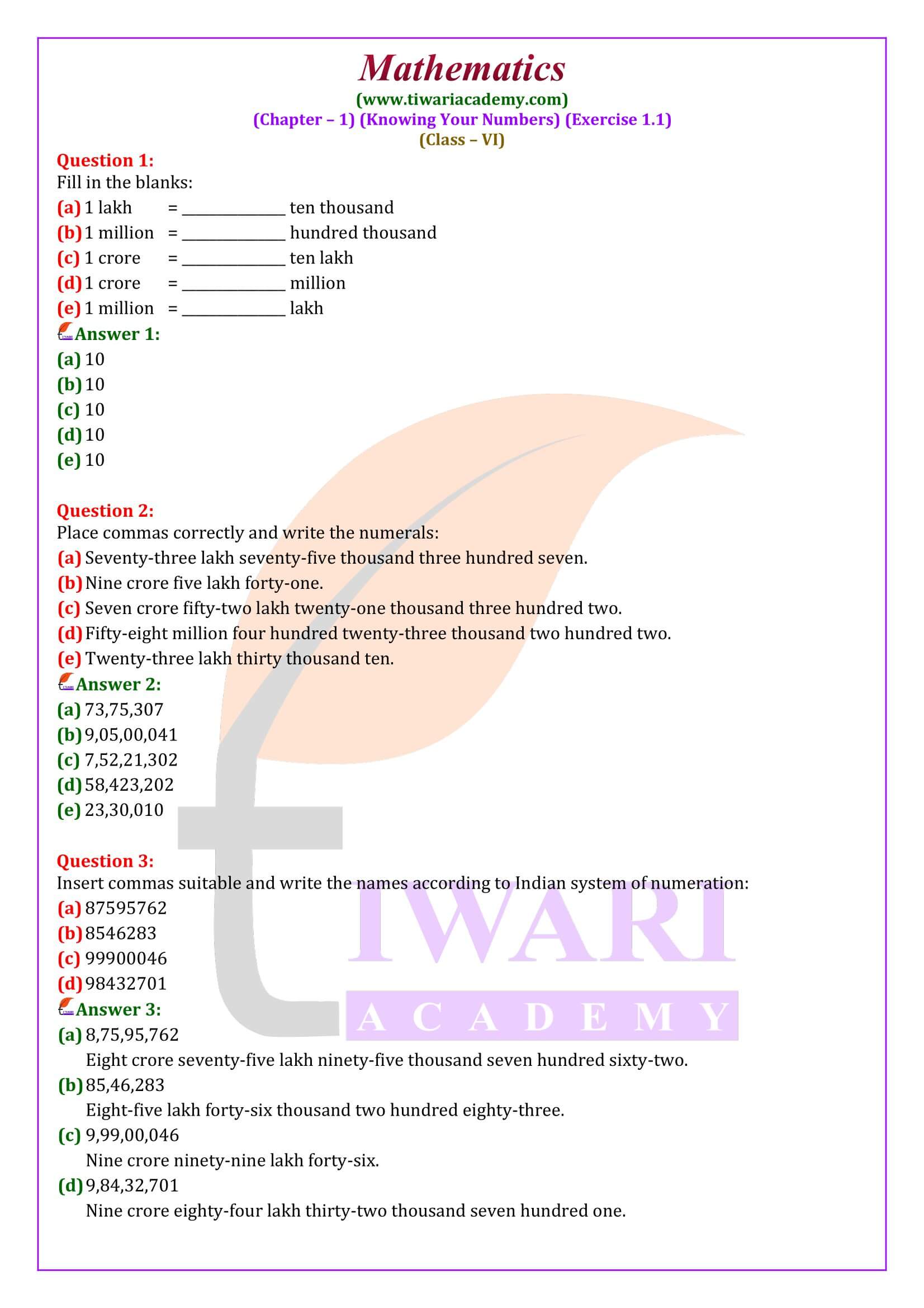 Class 6 Maths Exercise 1.1 in English