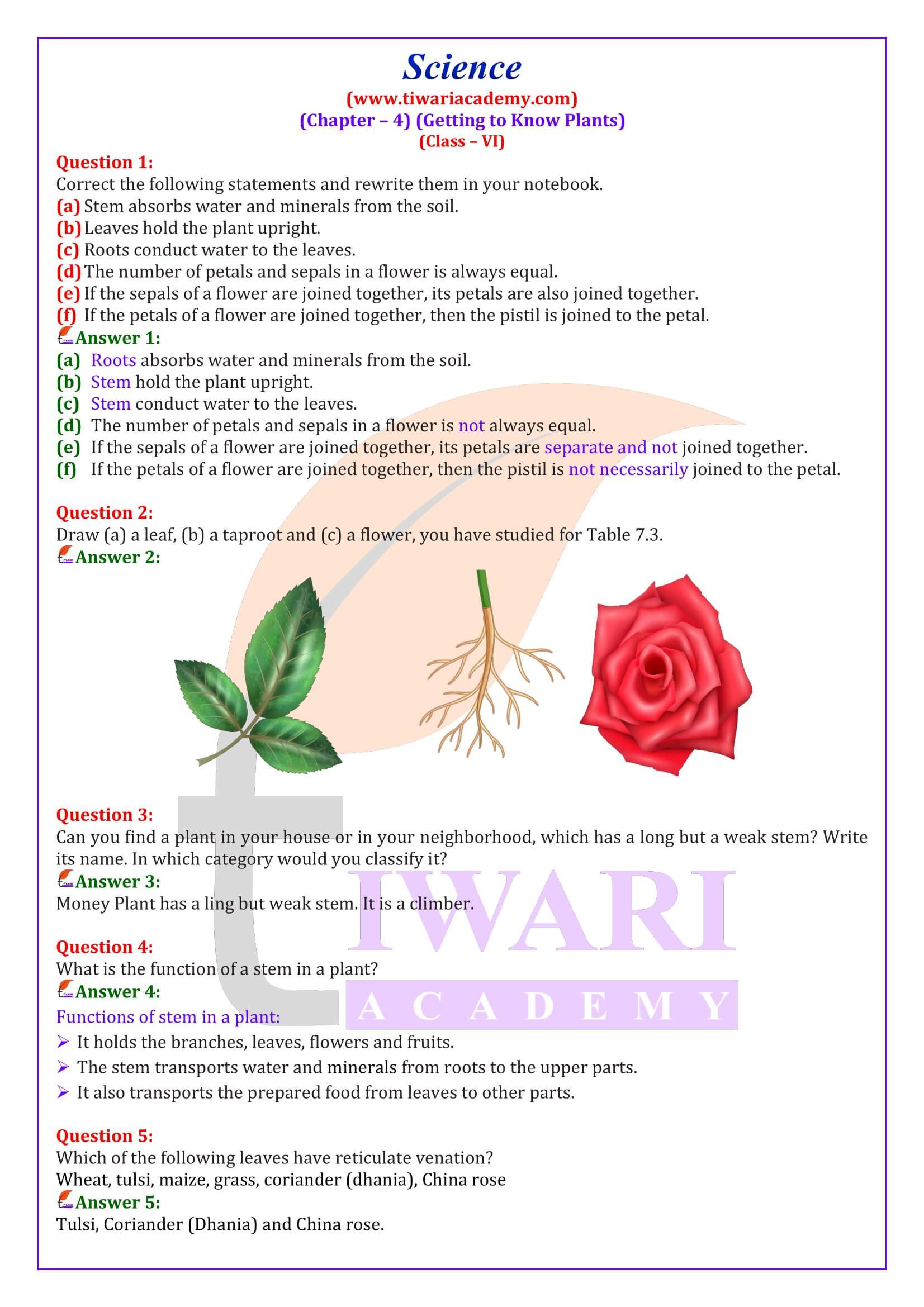 NCERT Solutions for Class 6 Science Chapter 4