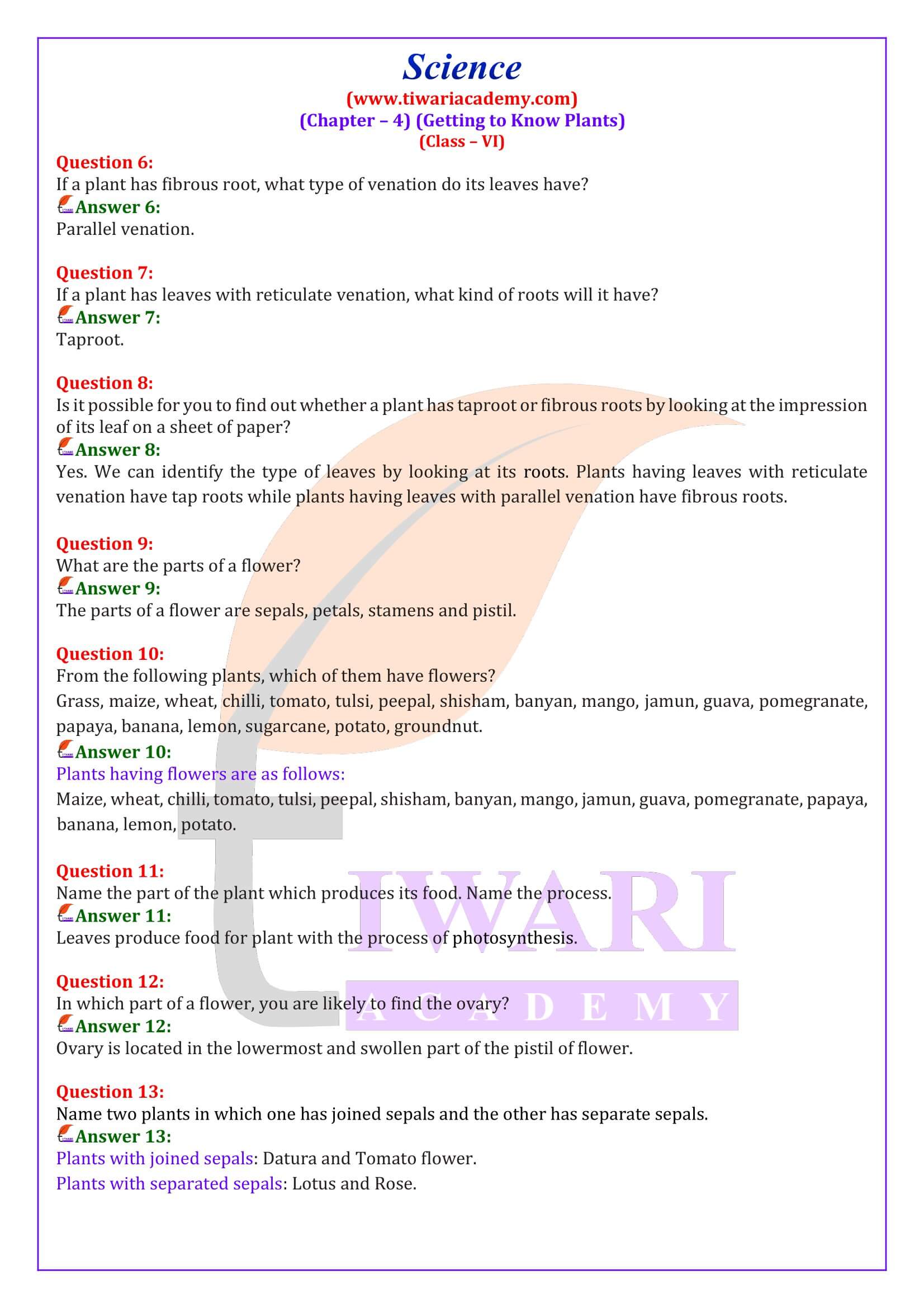 NCERT Solutions for Class 6 Science Chapter 4 Question Answers
