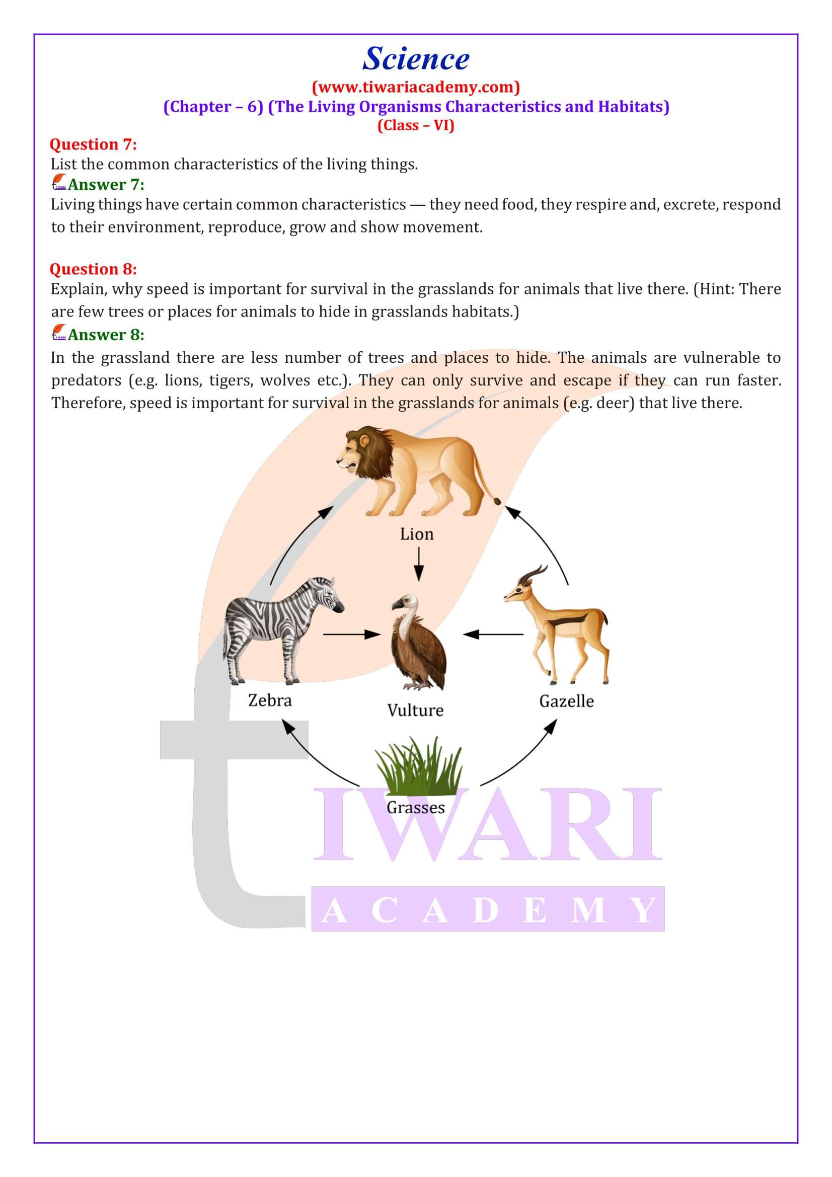 NCERT Solutions for Class 6 Science Chapter 6 Quesion Answers