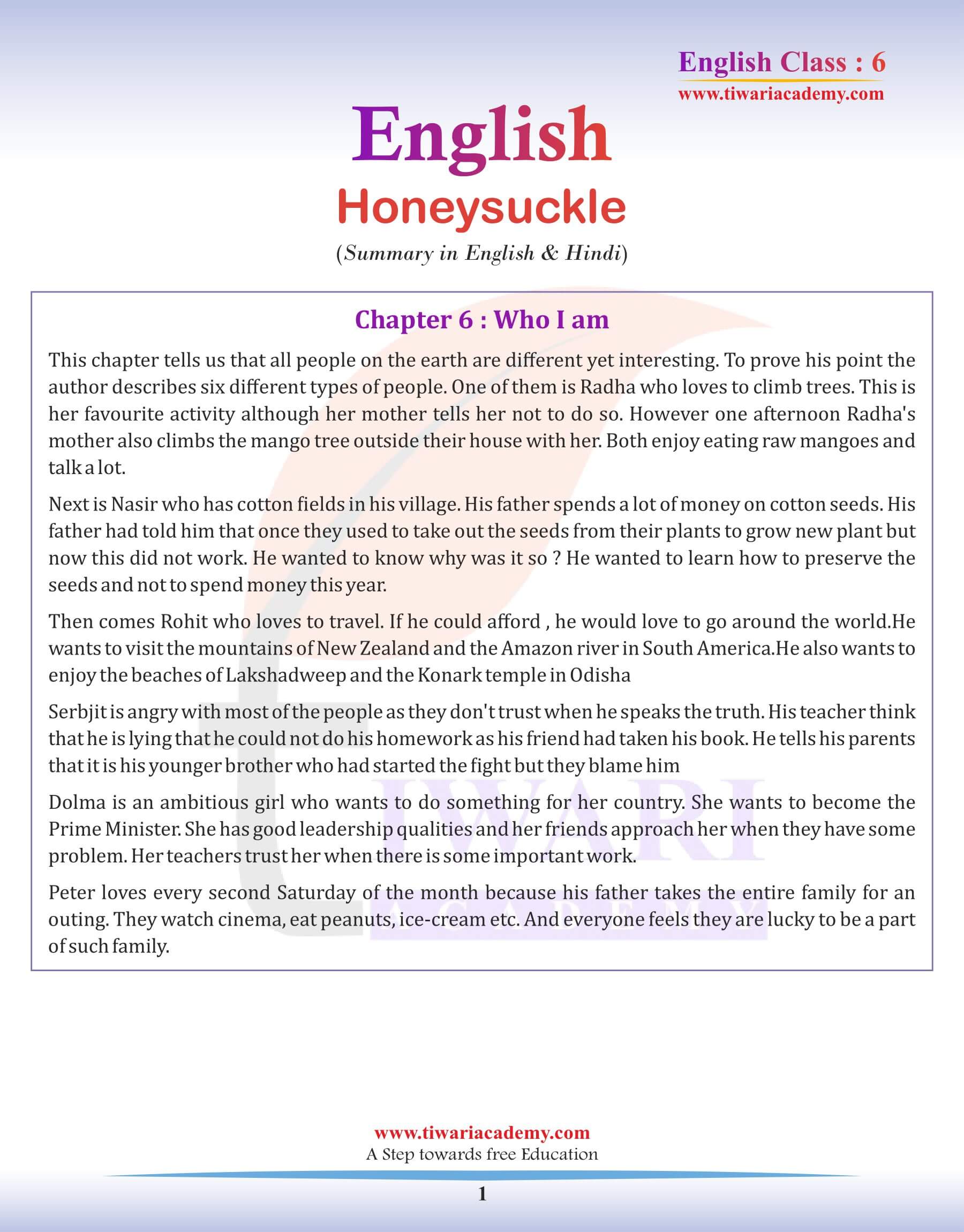 Class 6 English Chapter 6 Summary in English