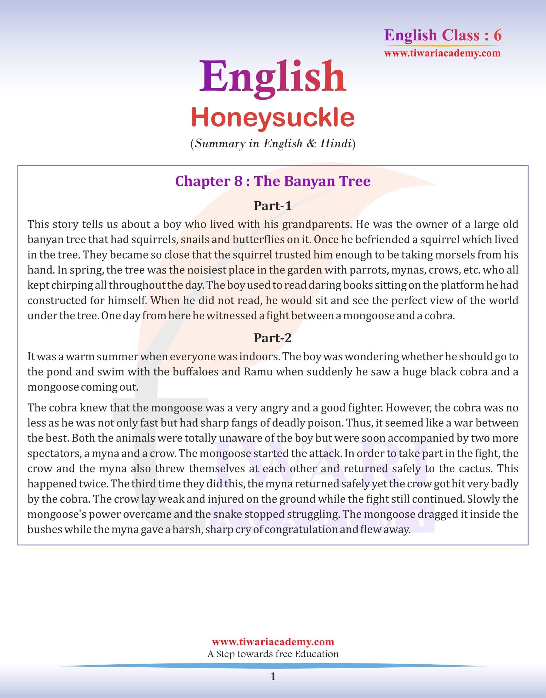 Class 6 English Chapter 8 Summary in English Medium
