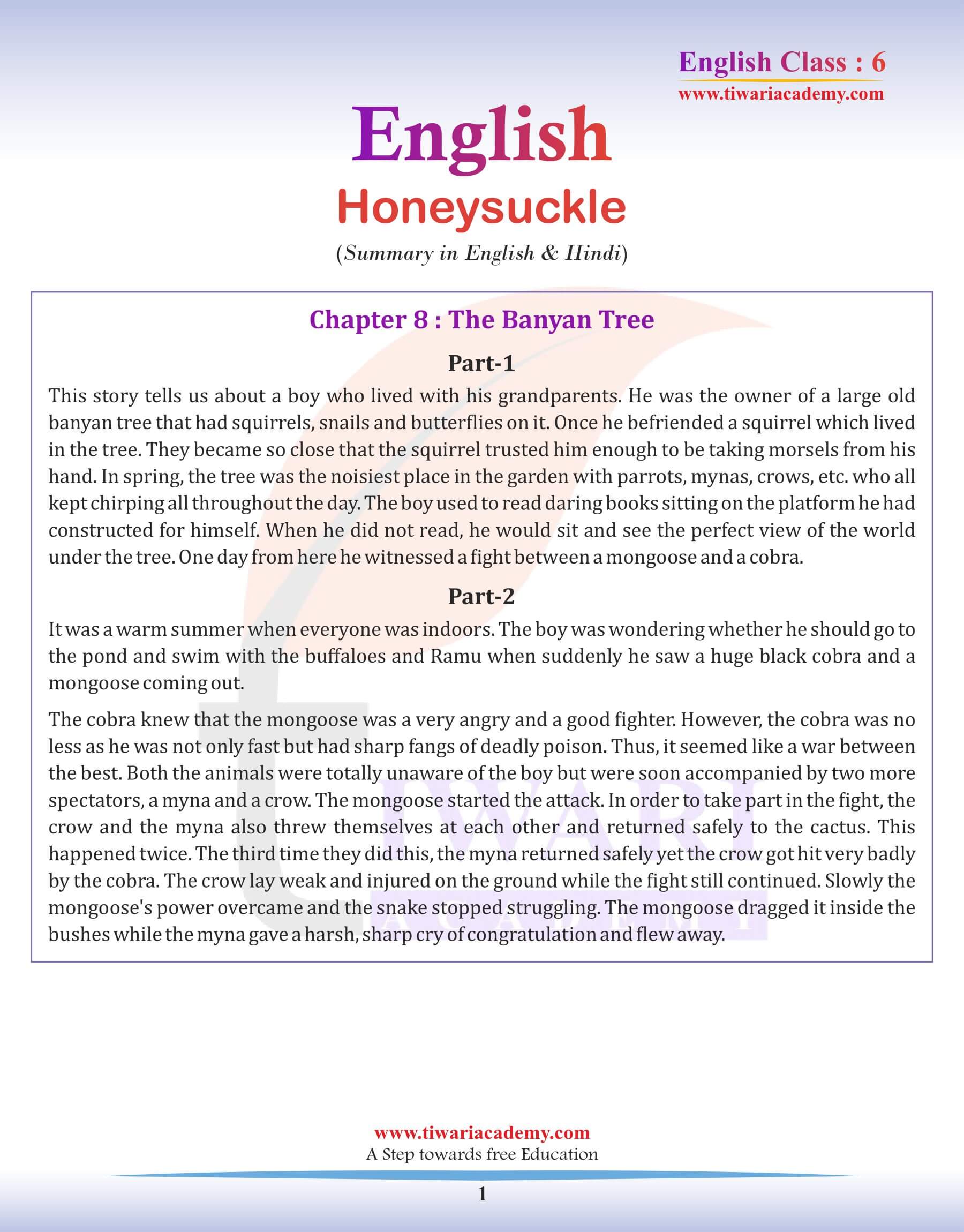 Class 6 English Chapter 8 Summary in English Medium