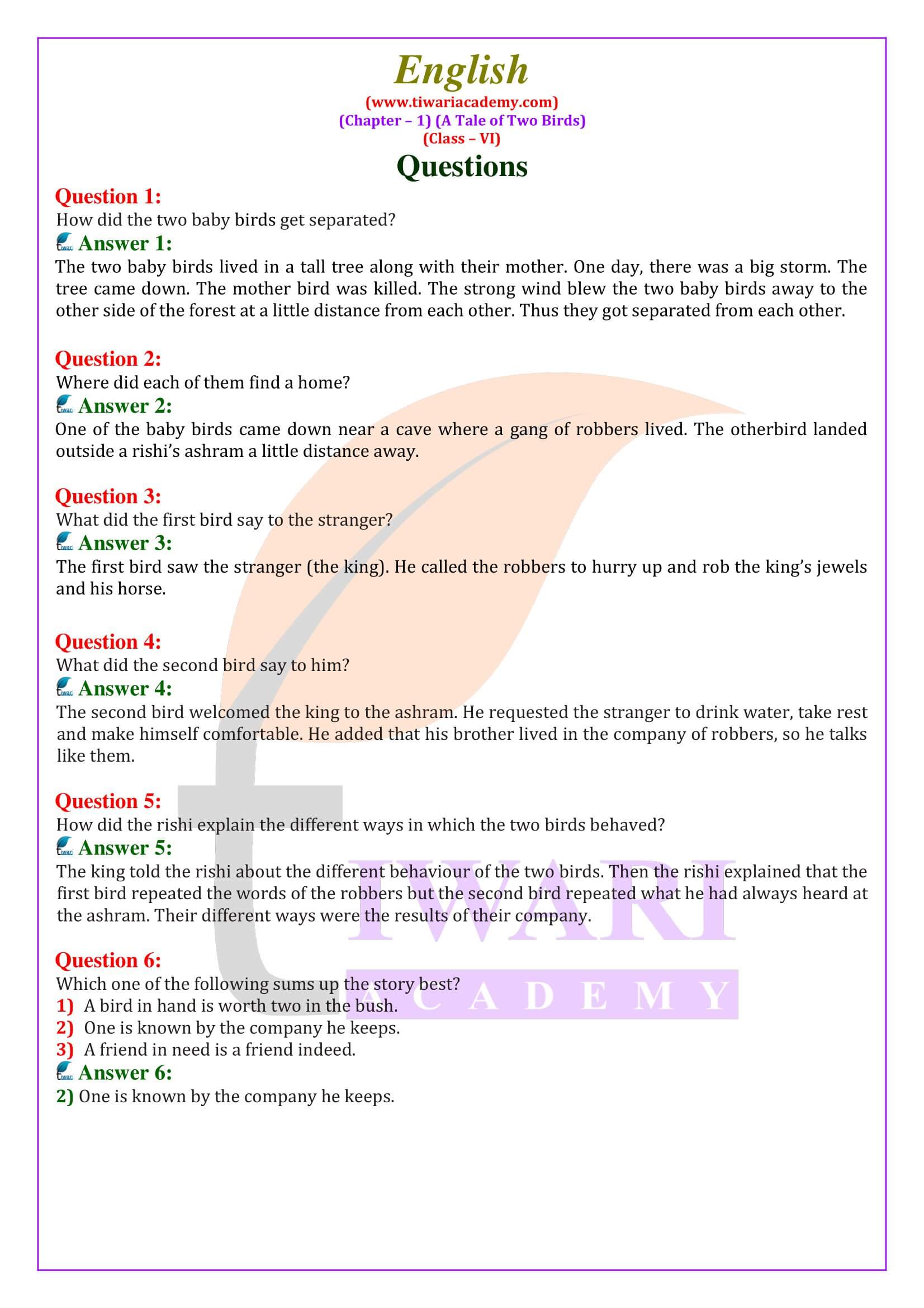 6th English Chapter 1 A Tale of Two Birds