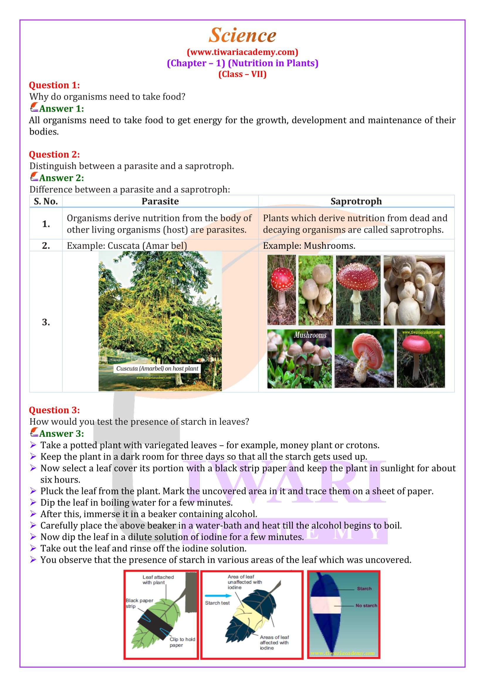 Class 7 Science Chapter 1 Nutrition in Plants