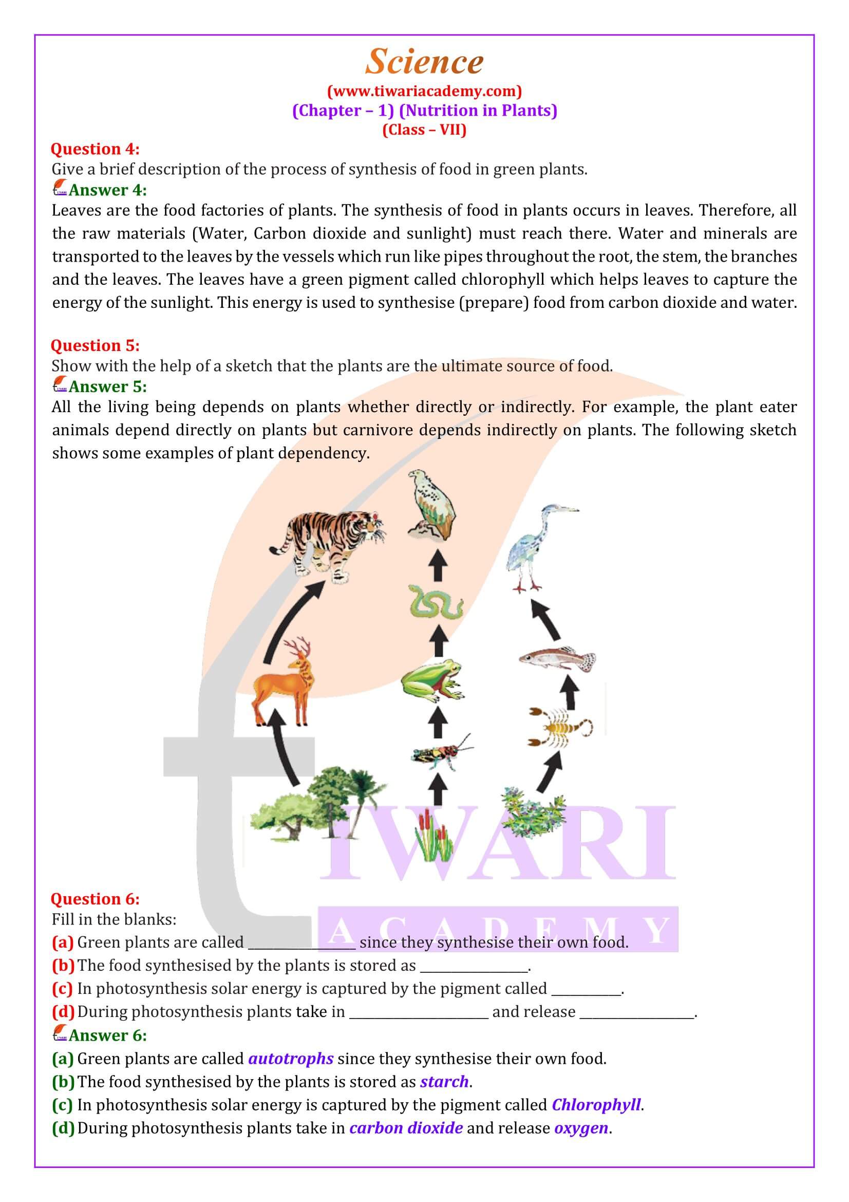 NCERT Solutions for Class 7 Science Chapter 1