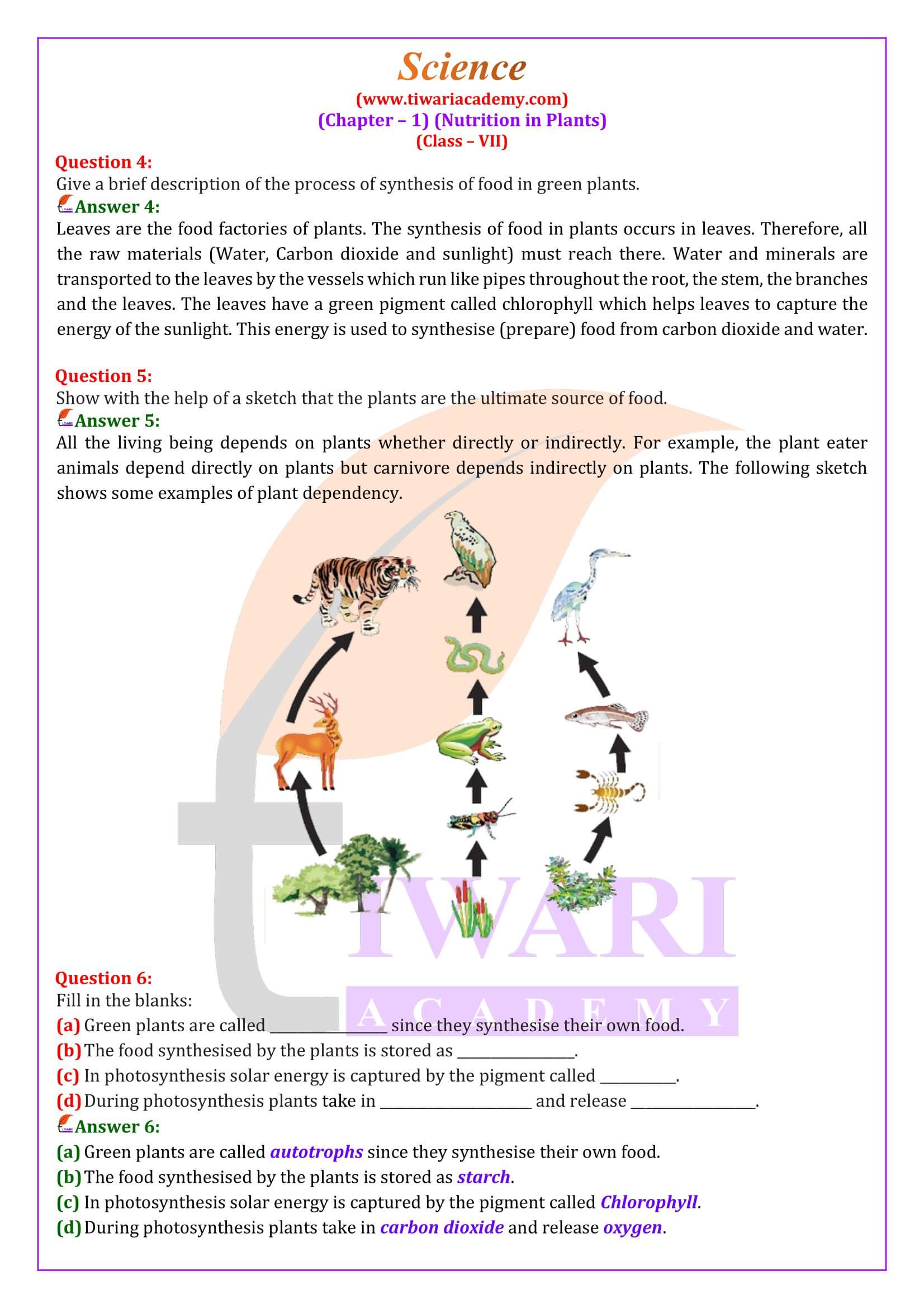 NCERT Solutions for Class 7 Science Chapter 1