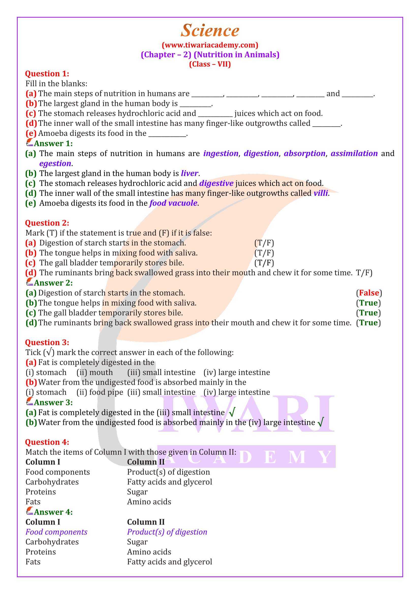 Class 7 Science Chapter 2 Nutrition in Animals