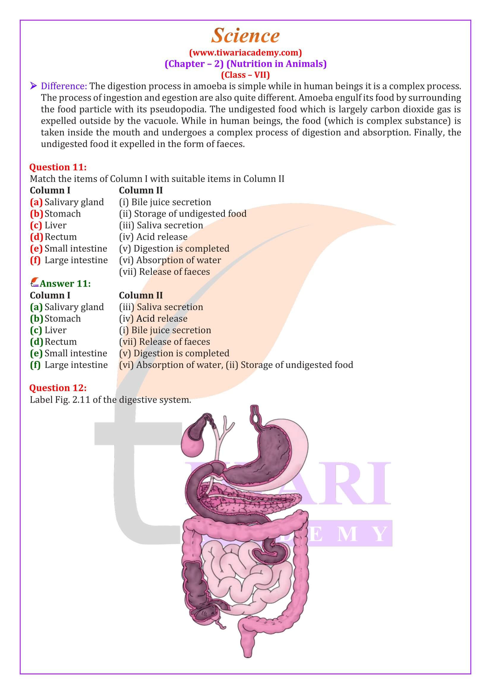 NCERT Solutions for Class 7 Science Chapter 2 in English Medium