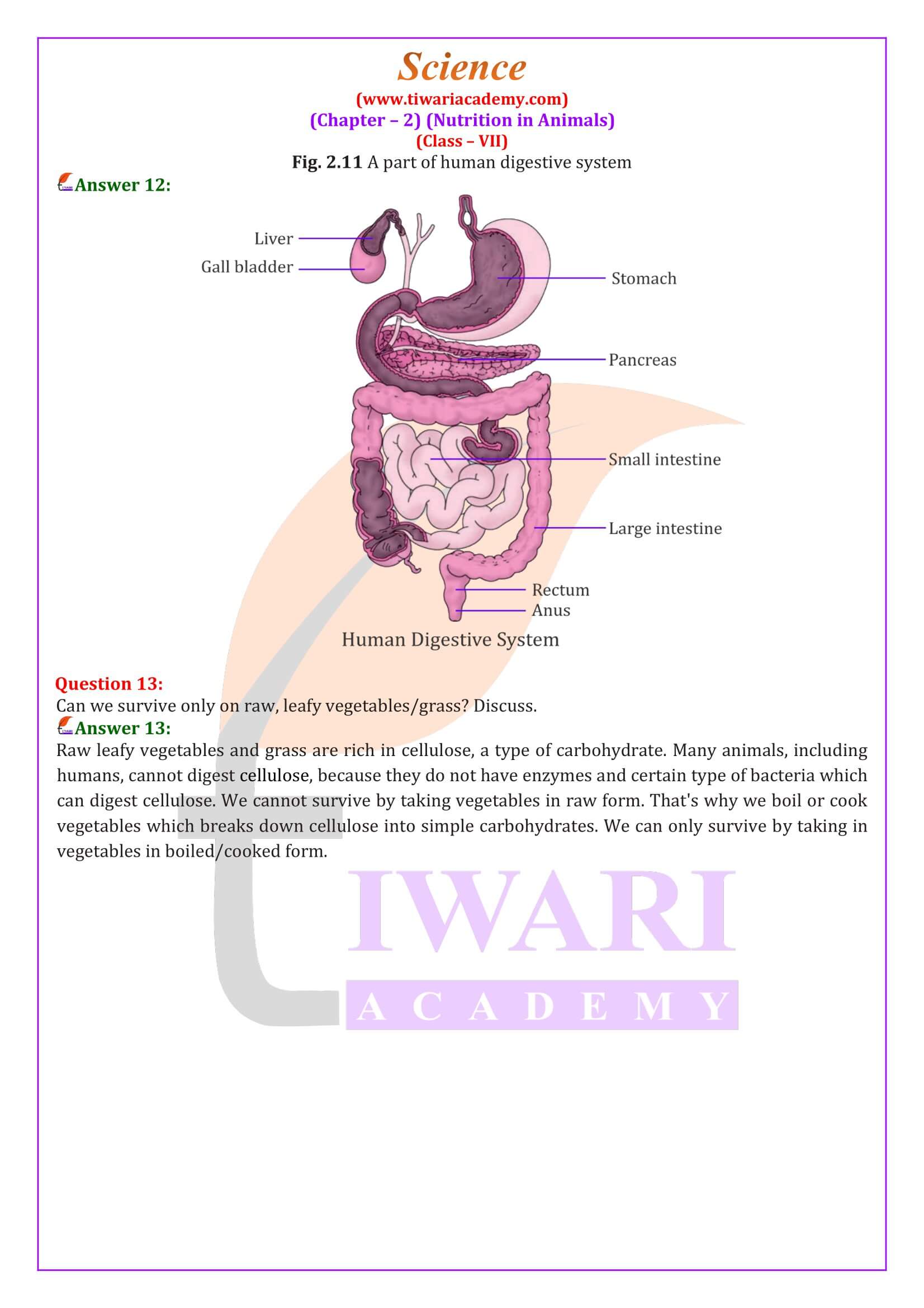 Class 7 Science Chapter 2