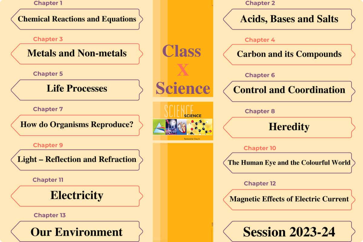 NCERT Books Class 10 Science