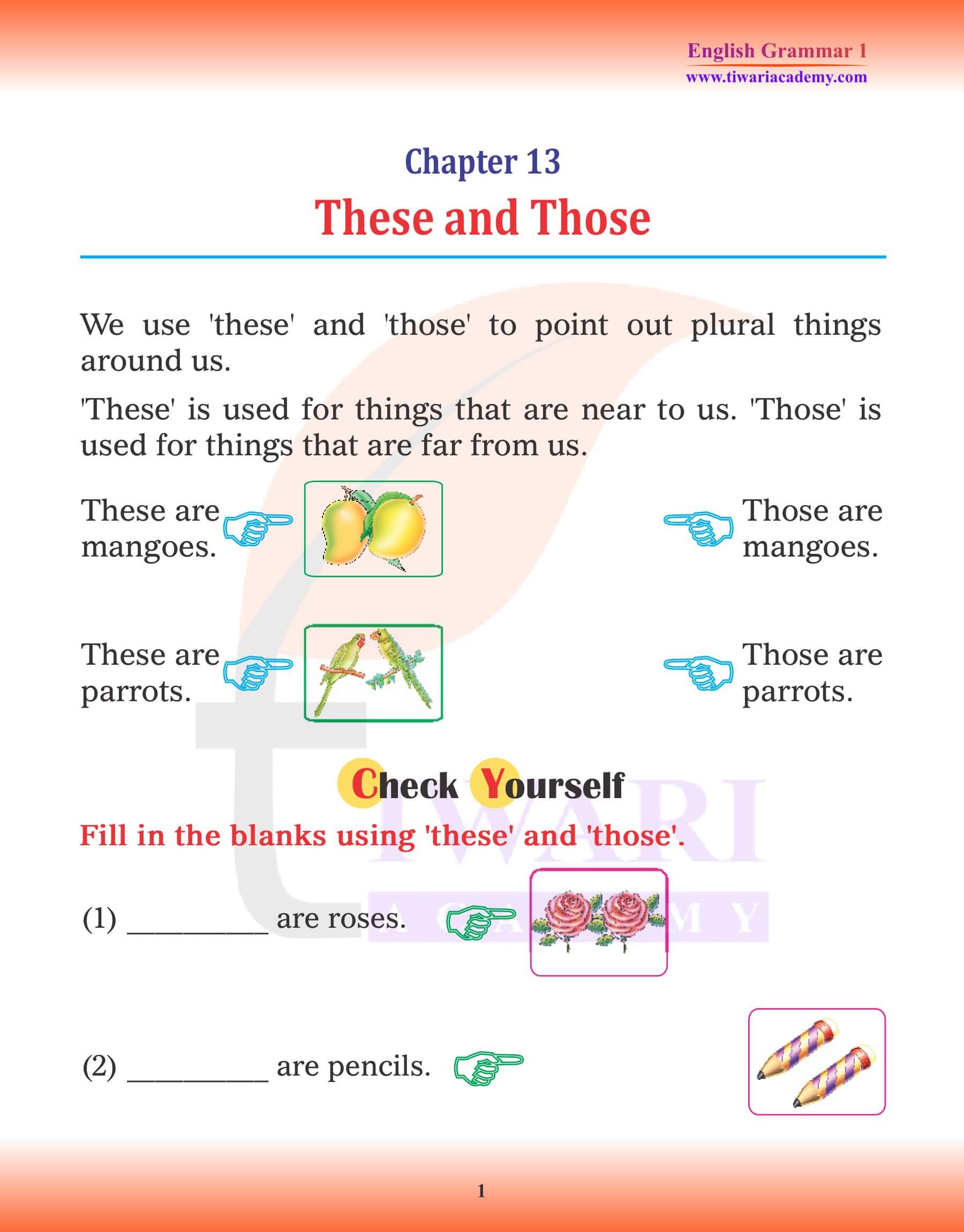 Class 1 English Grammar Chapter 13 These and Those