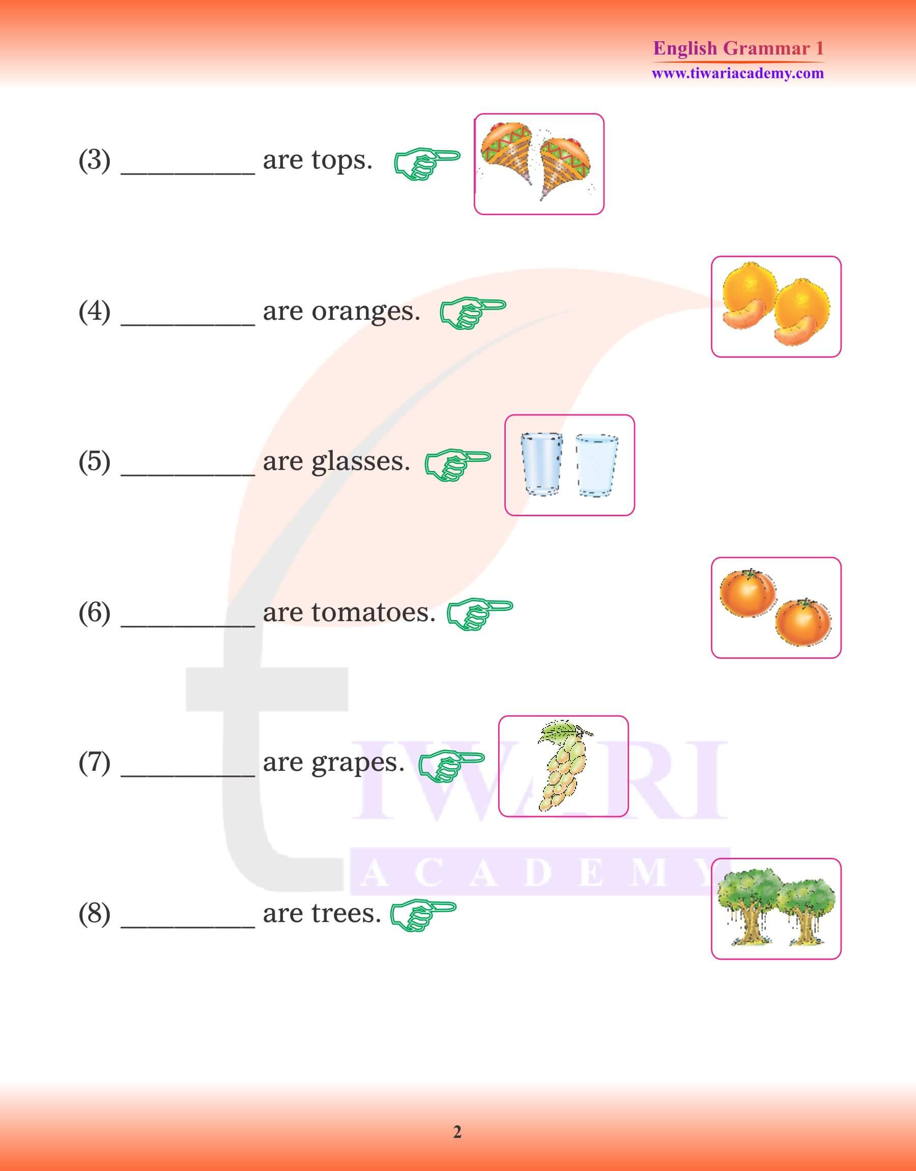 Class 1 English Grammar These and Those