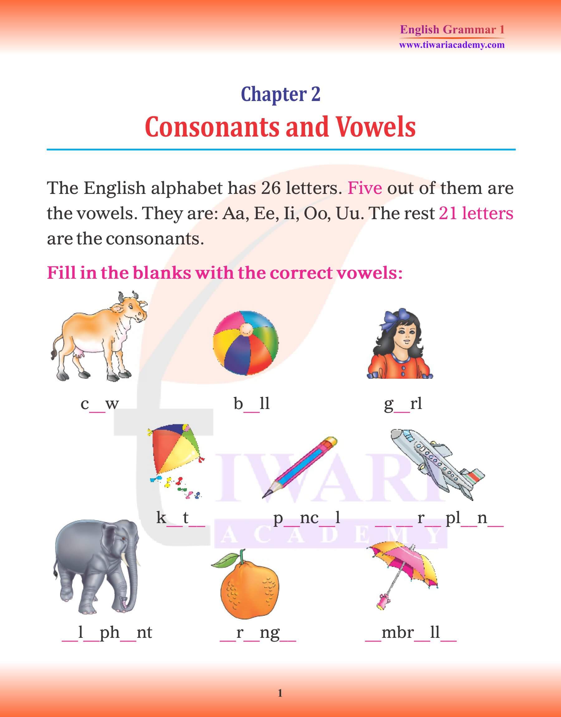 Class 1 English Grammar Chapter 2 Consonants and Vowels