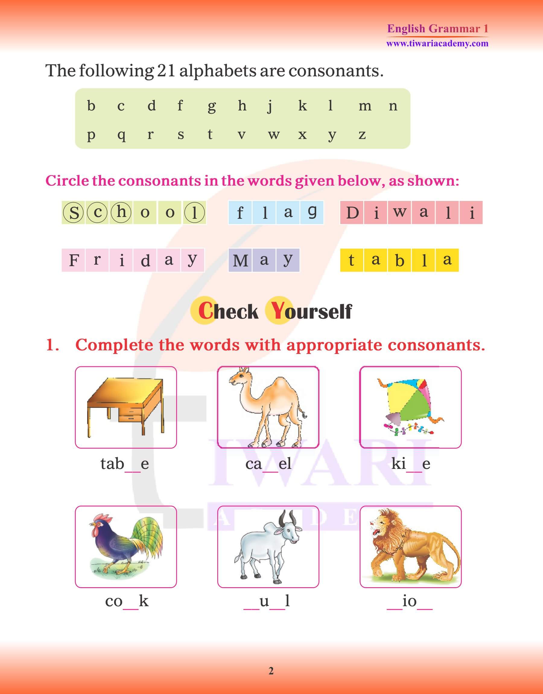 Class 1 English Grammar Consonants and Vowels