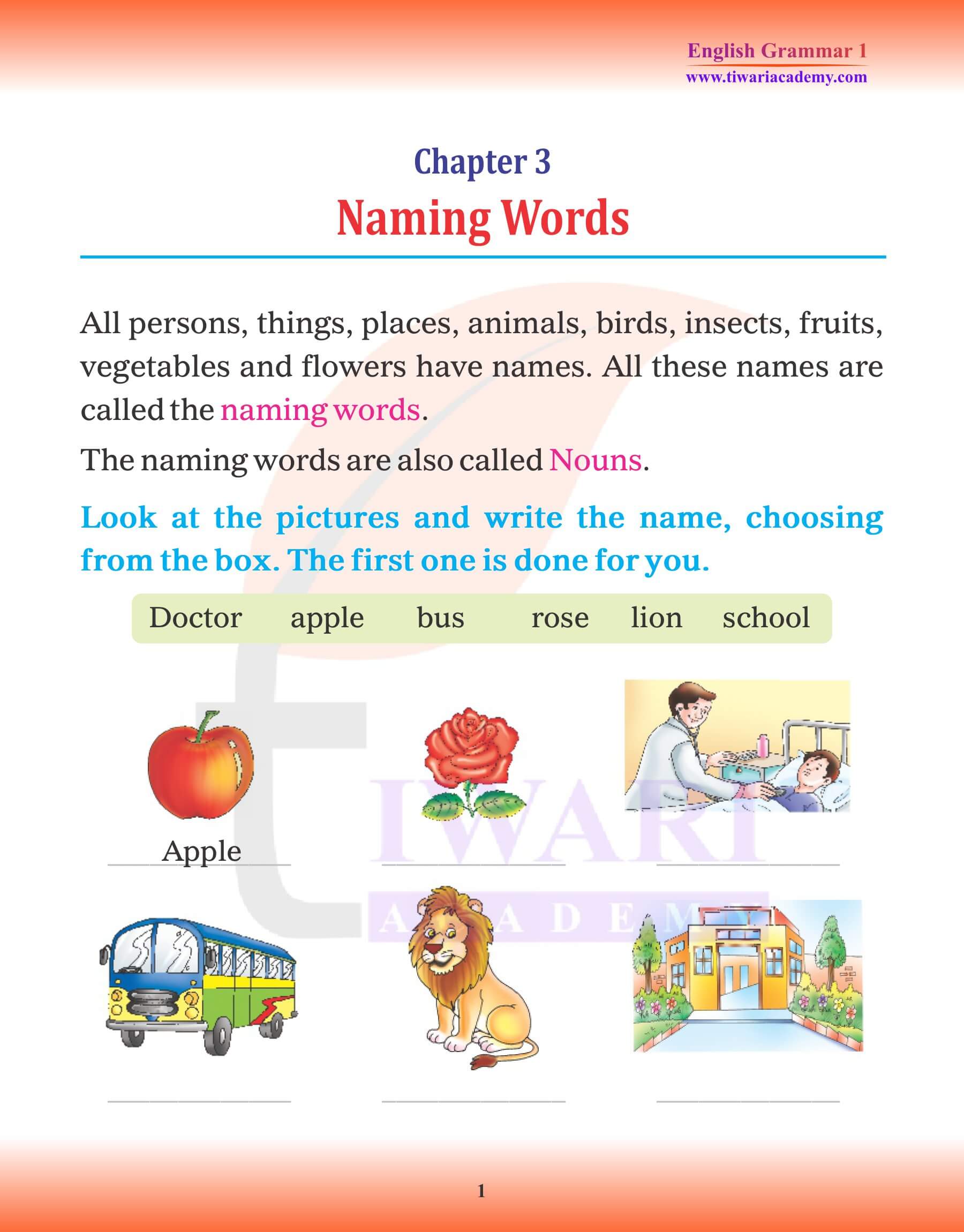 Class 1 English Grammar Chapter 3 Noun