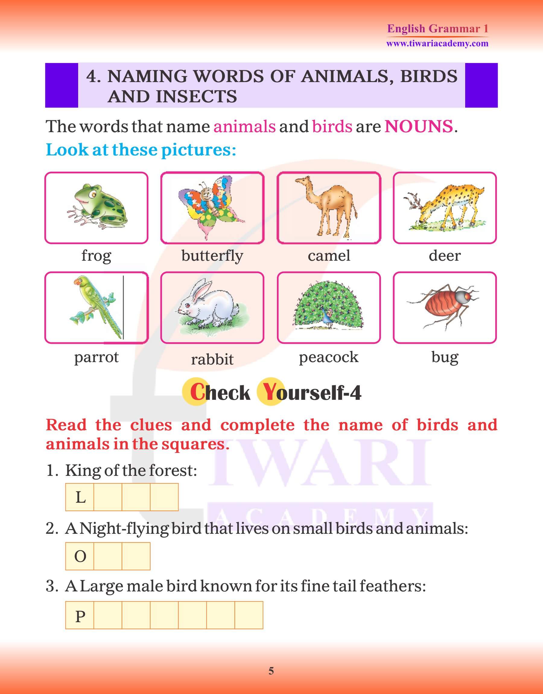 Class 1 English Grammar Chapter 3 Noun pictures