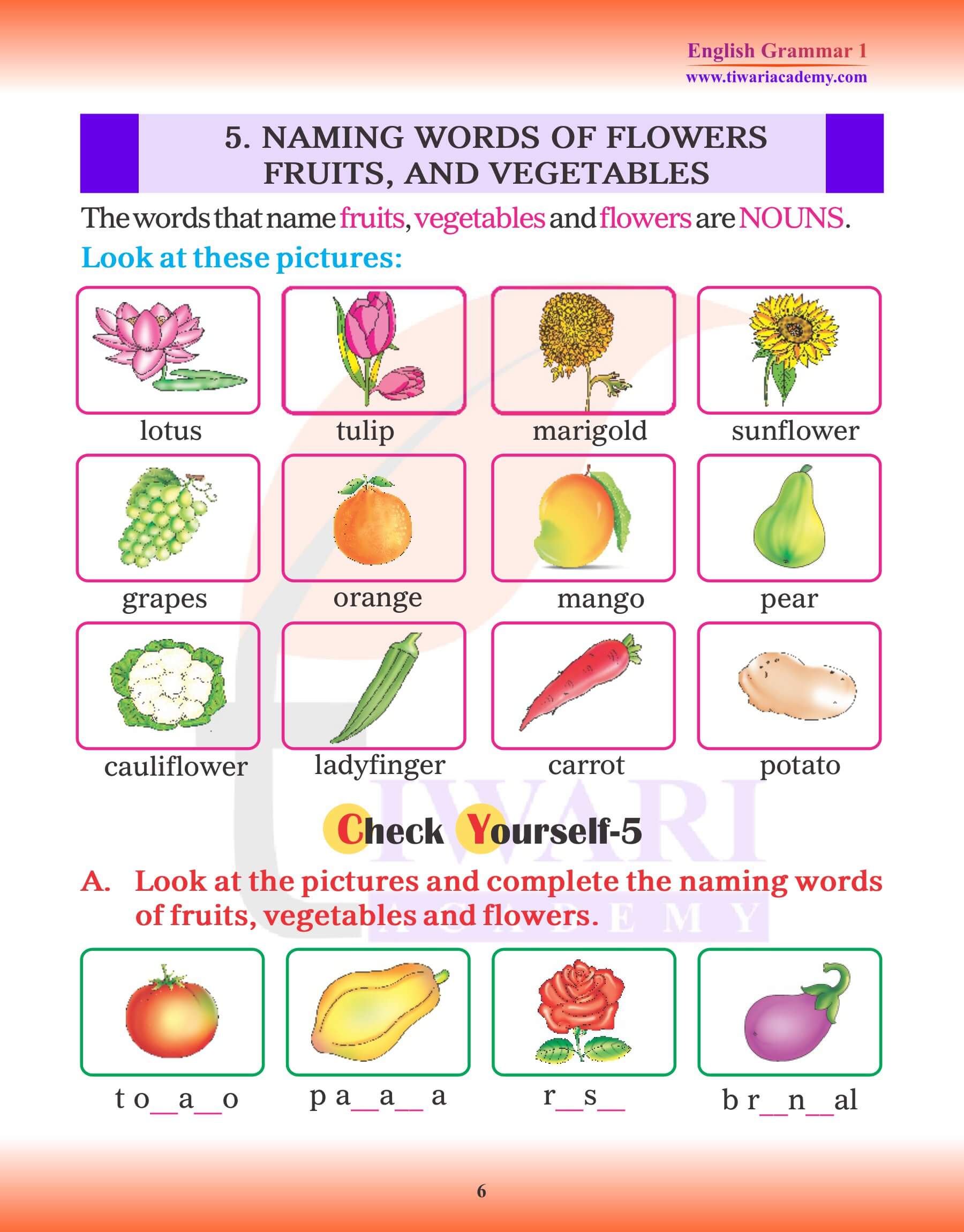 Class 1 English Grammar Chapter 3 Noun names