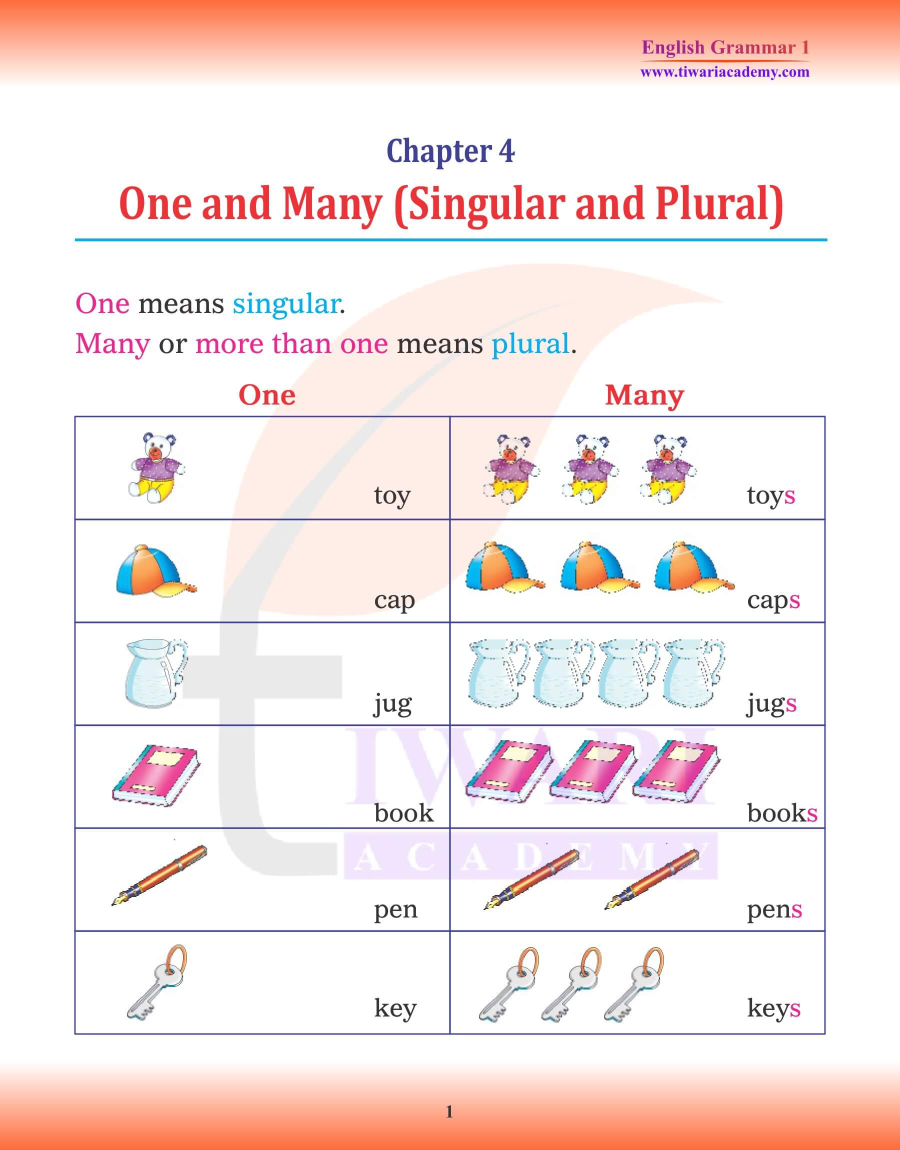 Class 1 English Grammar Chapter 4 Singular and Plural