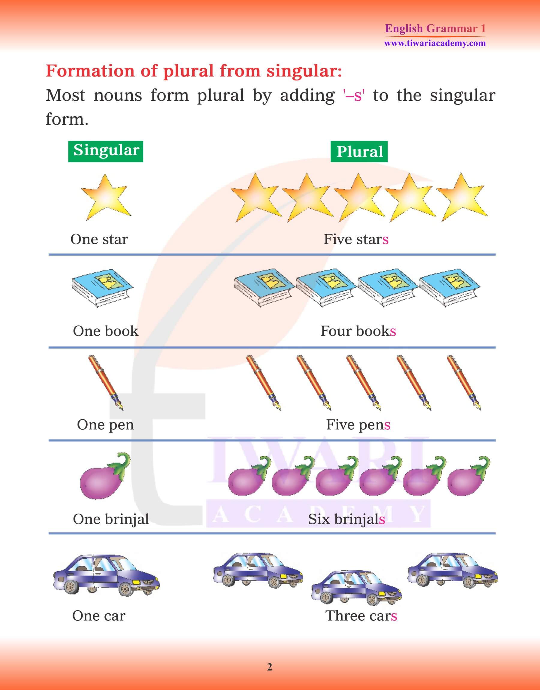 Class 1 English Grammar Chapter 4 Singular and Plural practice