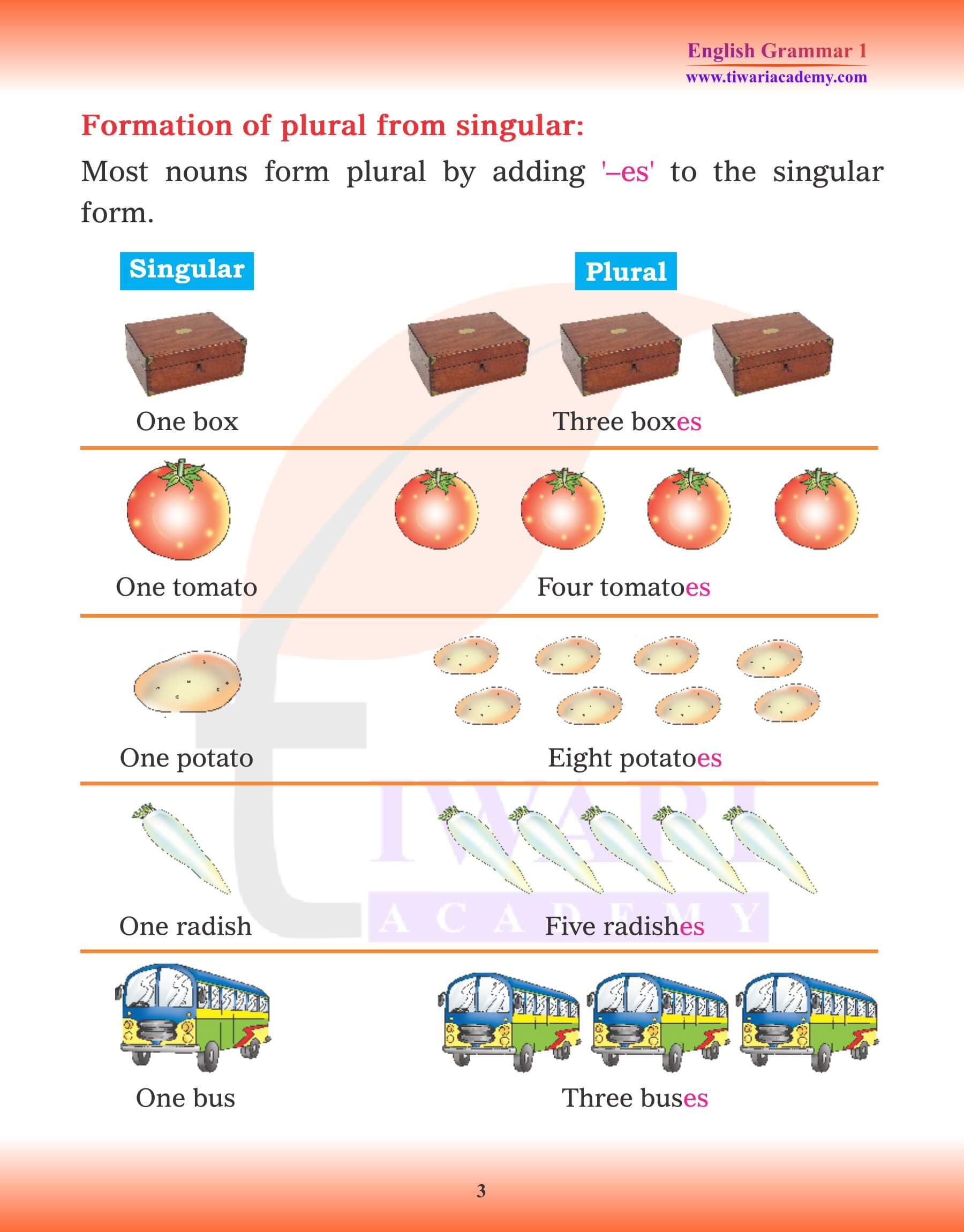 Class 1 English Grammar Chapter 4 Singular and Plural revision