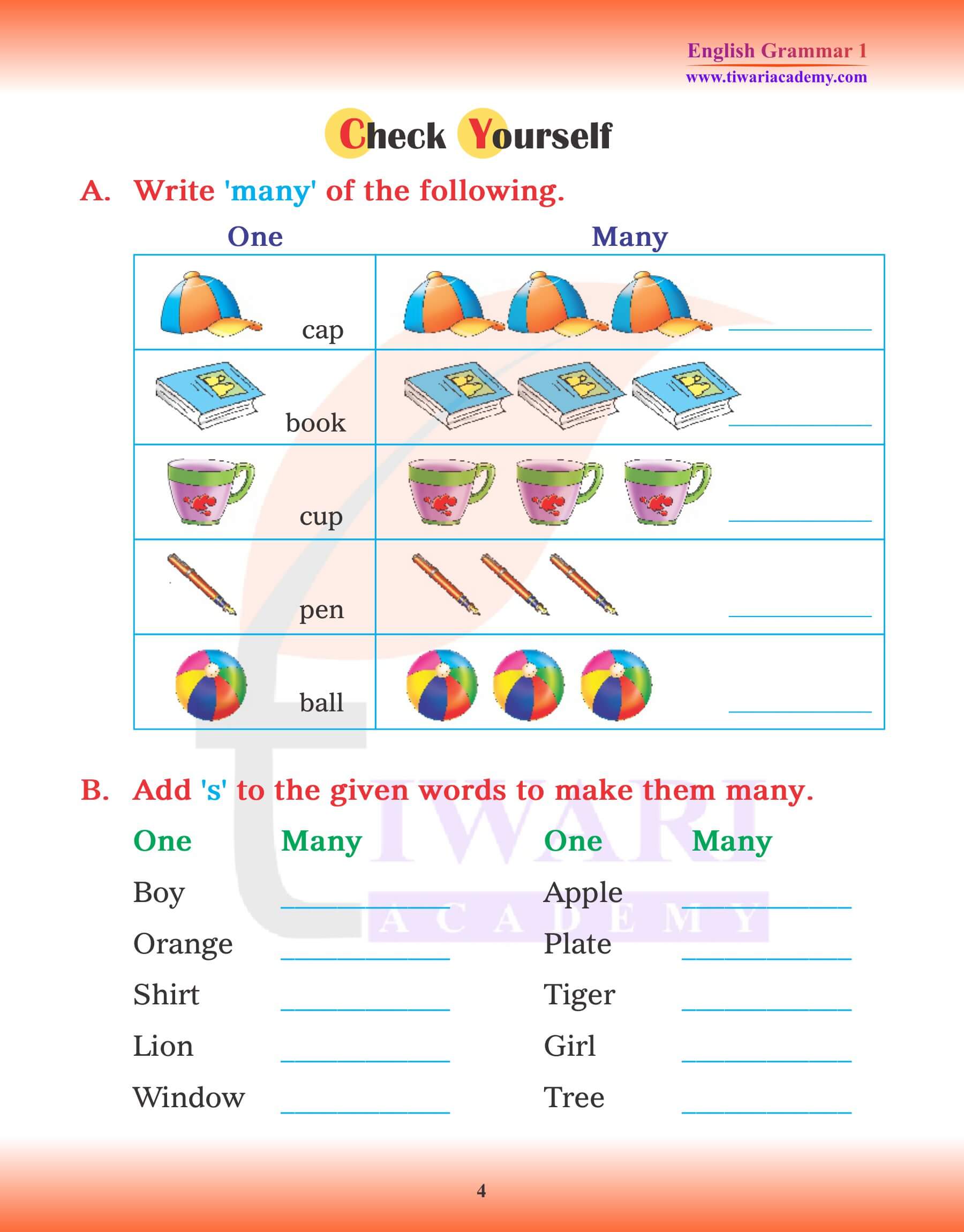 Class 1 English Grammar Chapter 4 Singular and Plural fun