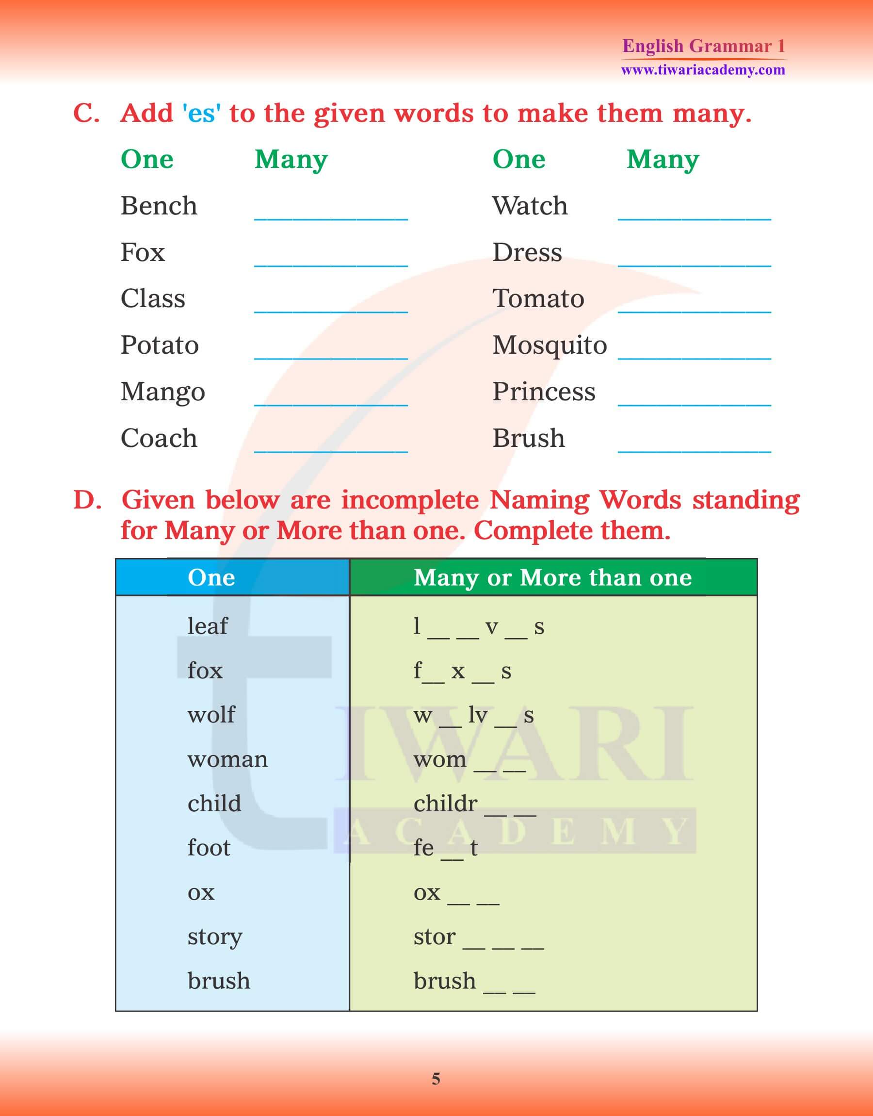 Class 1 English Grammar Chapter 4 Singular and Plural examples