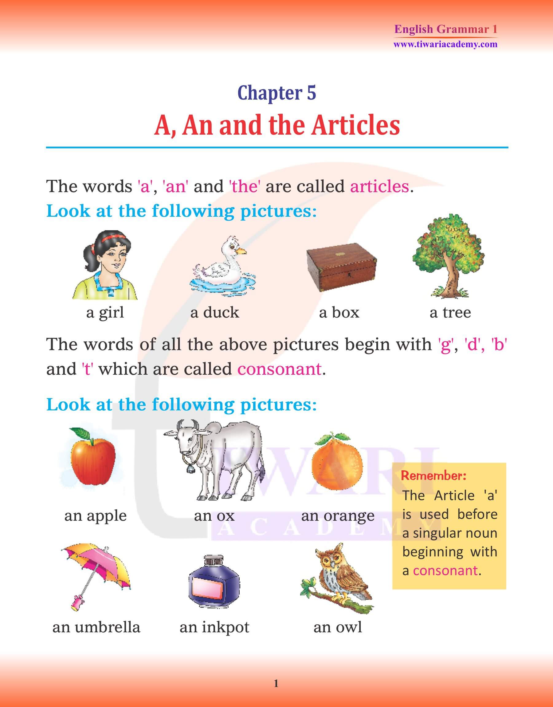 Class 1 English Grammar Chapter 5 Articles