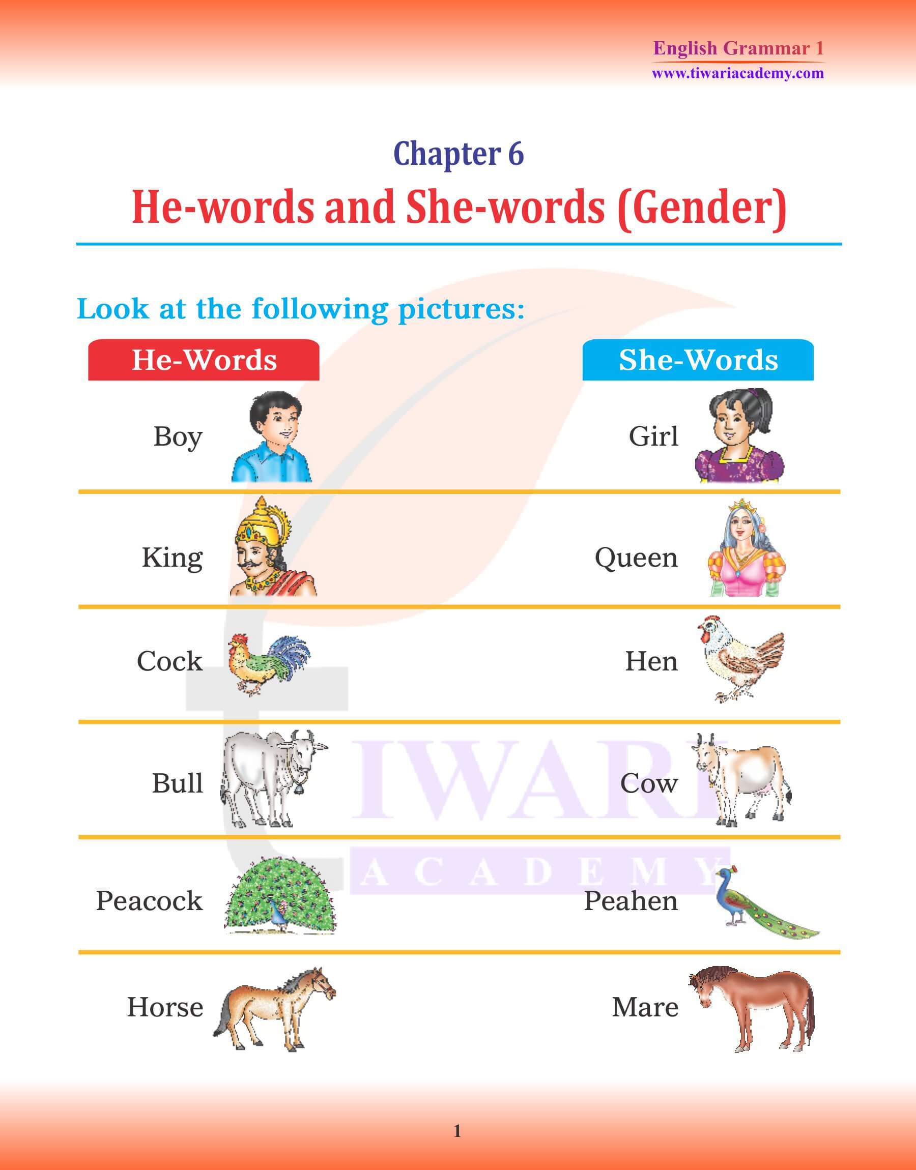 Class 1 English Grammar Chapter 6 Gender