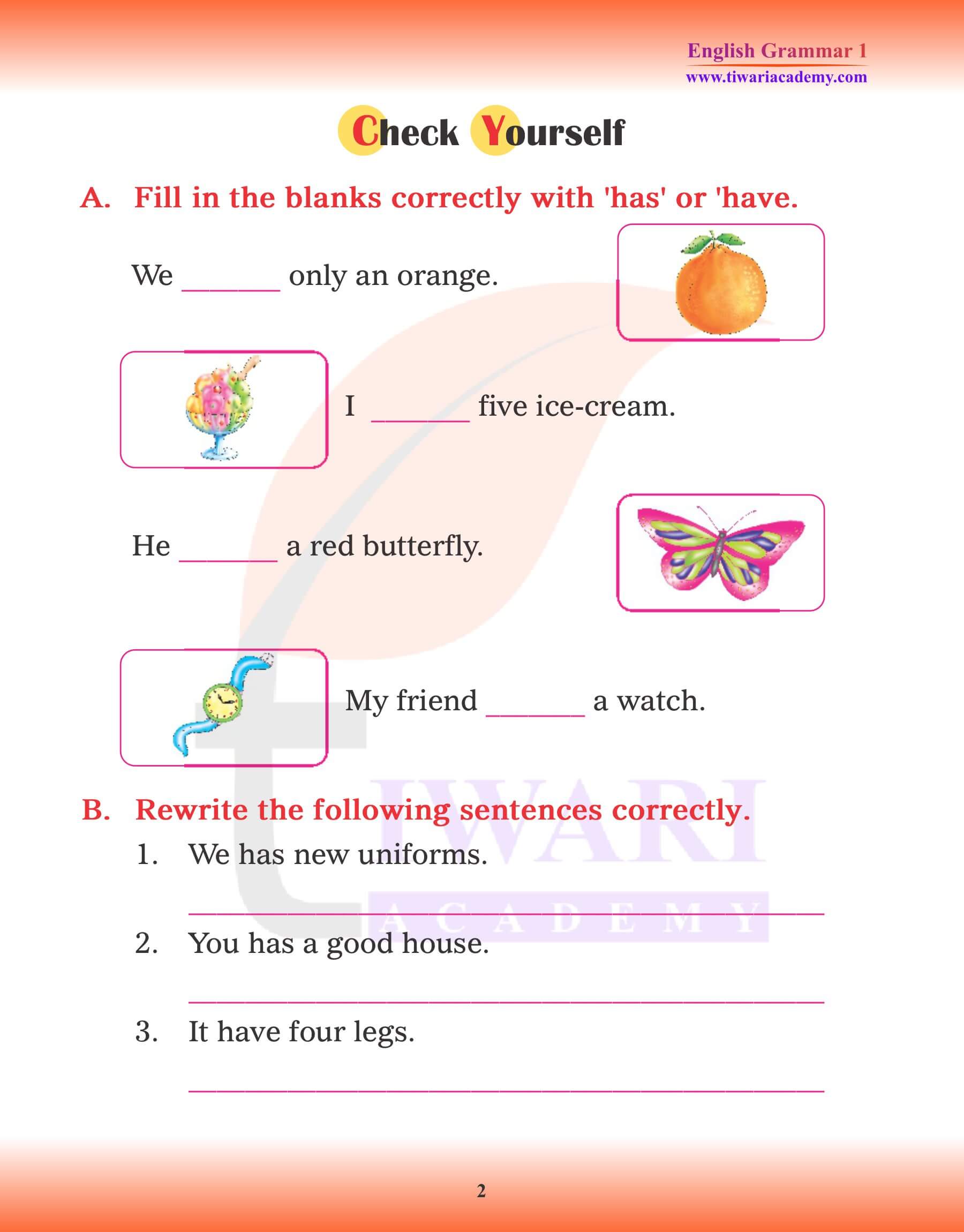 Class 1 English Grammar Has and Have