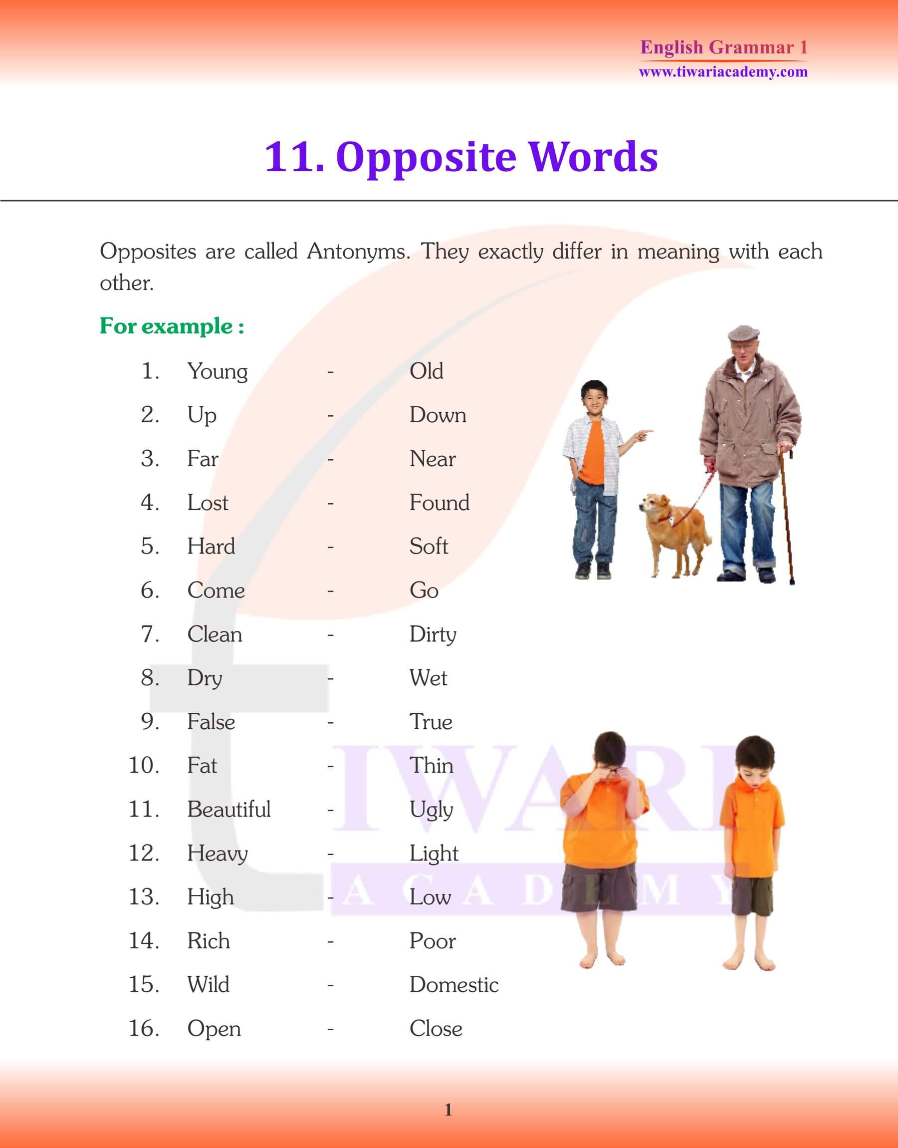 Class 1 Grammar Opposite Words