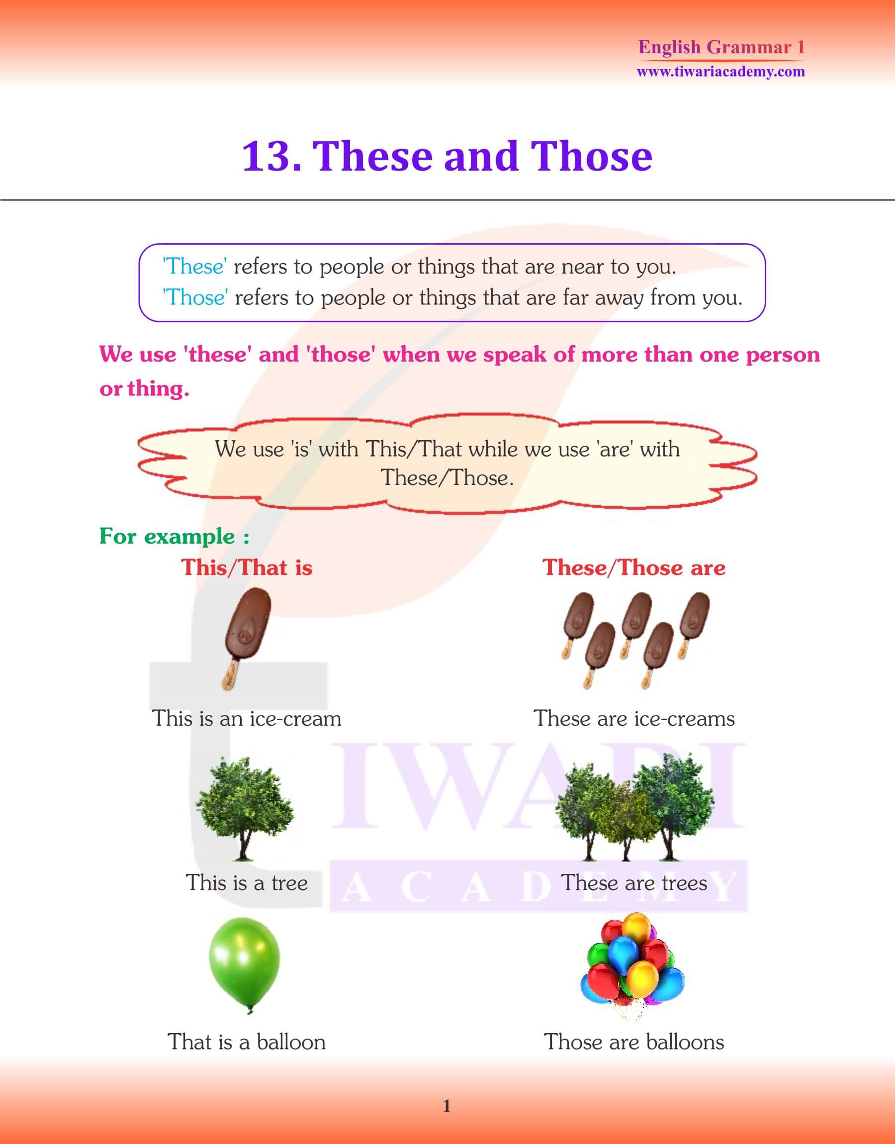 Class 1 English Grammar Chapter 13 These and Those Revision
