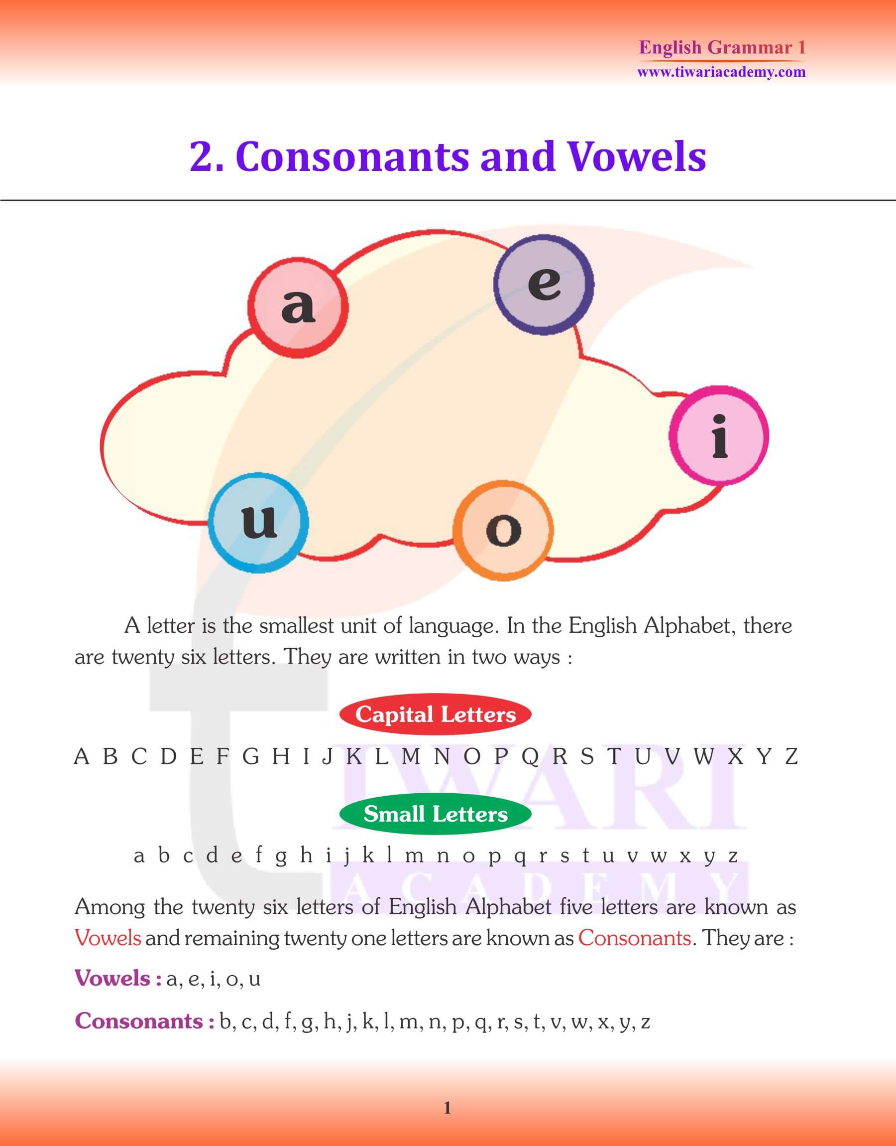 Class 1 English Grammar Chapter 2 Consonants and Vowels Revision book
