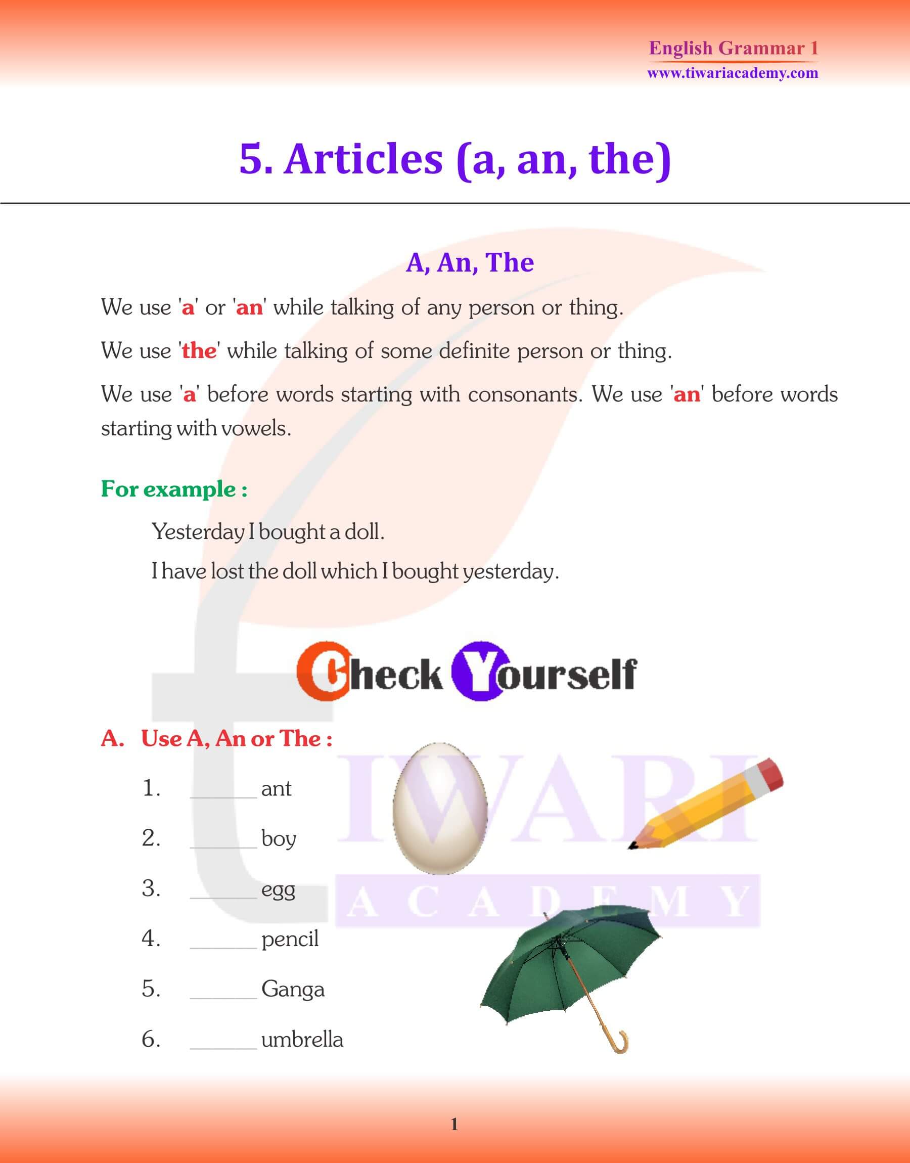 Class 1 English Grammar Chapter 5 Articles notes