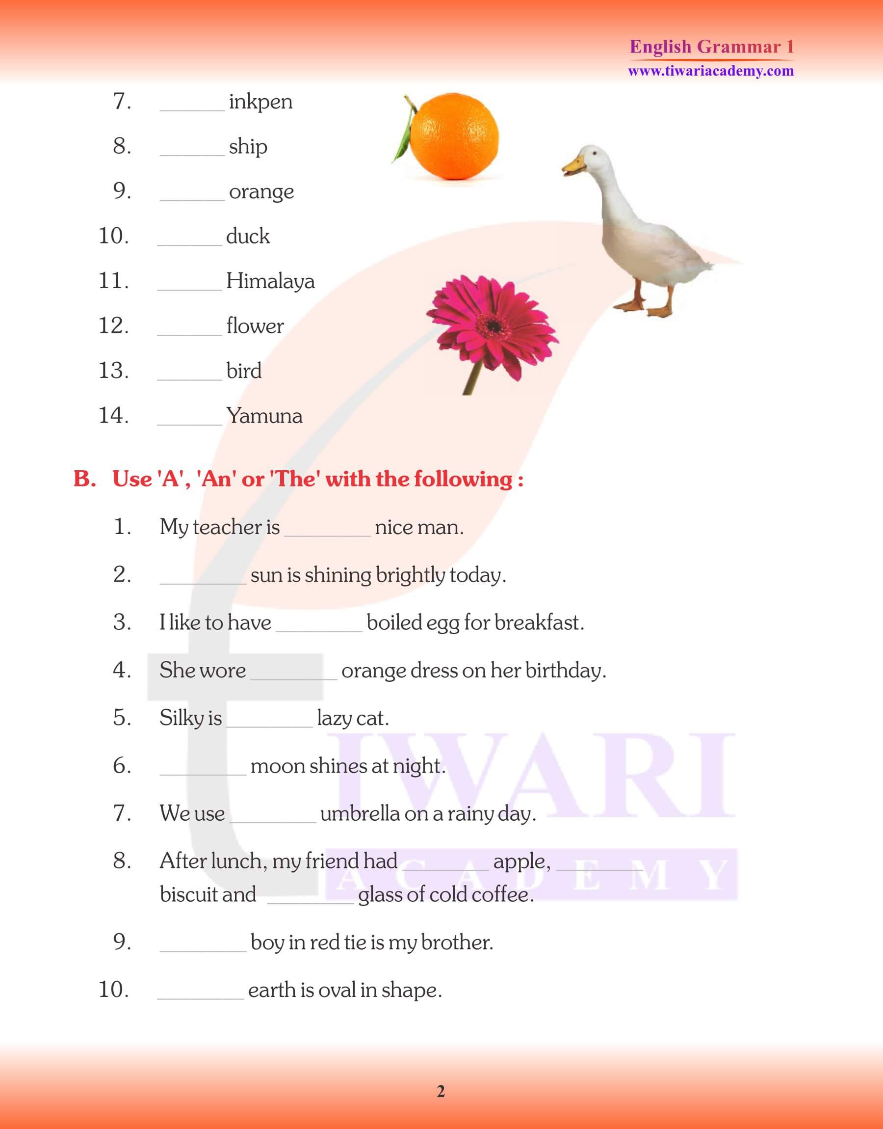 Class 1 English Grammar Chapter 5 Articles Revision book