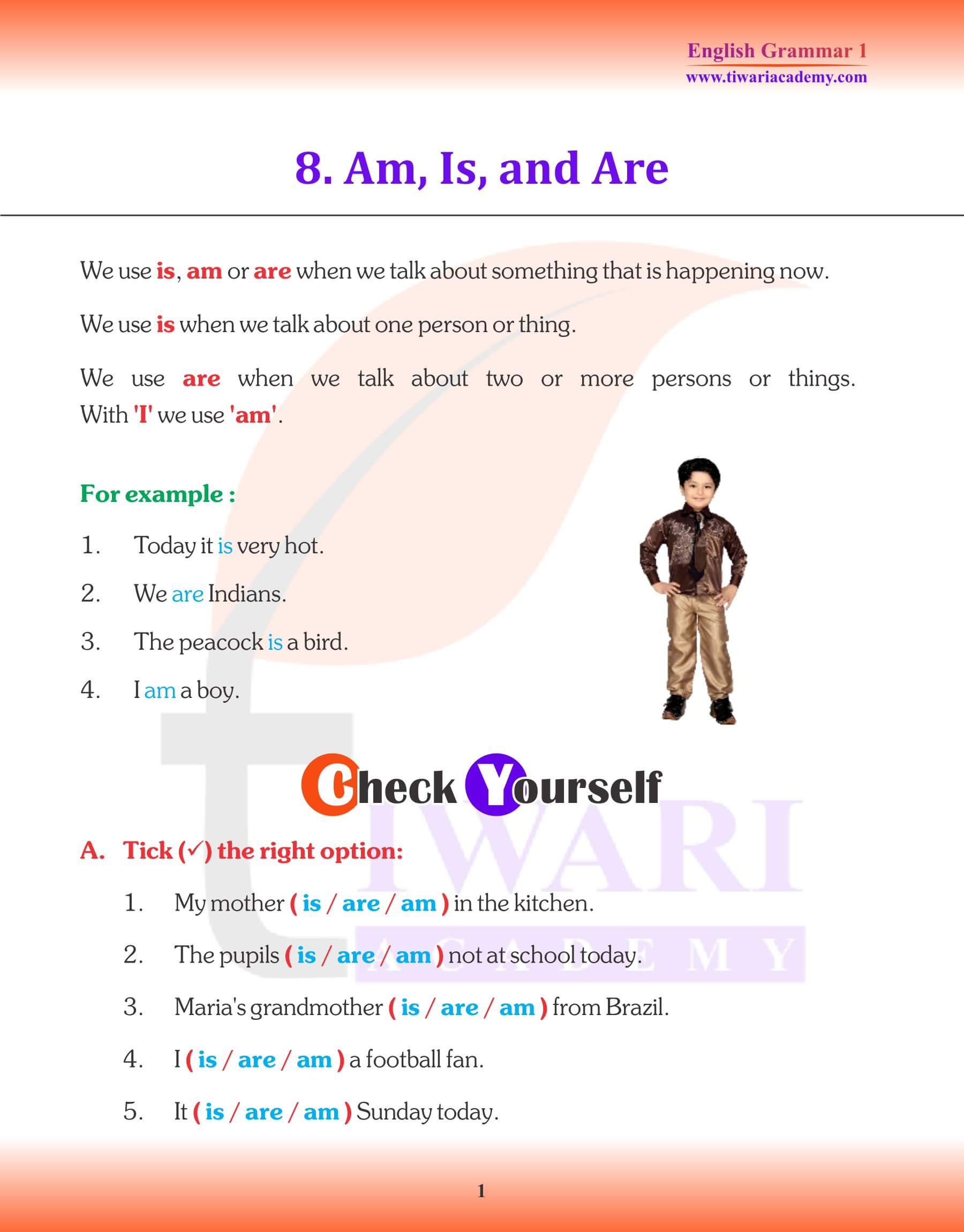 Class 1 English Grammar Chapter 8 Am, Is, and Are Revision