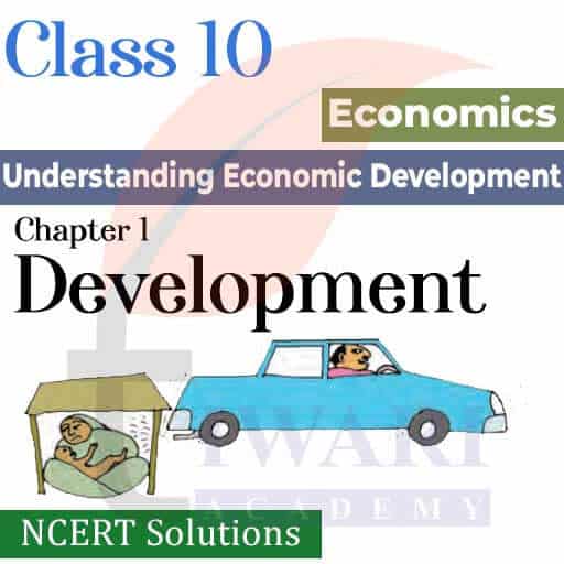 NCERT Solutions for Class 10 Economics Chapter 1 Development